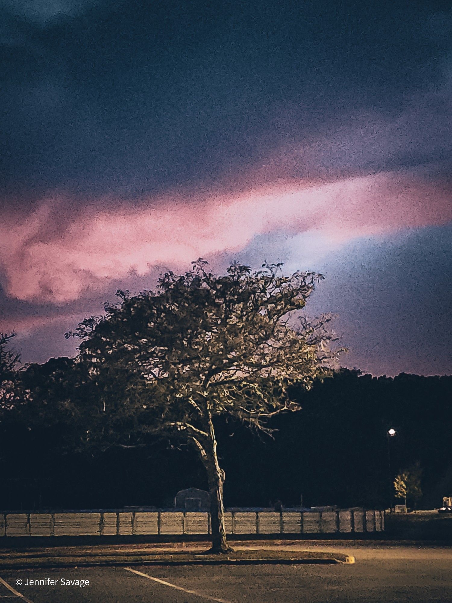 A faded looking grainy photo of a tree lit from the side, with a pink and blue sunset hitting the clouds behind it.