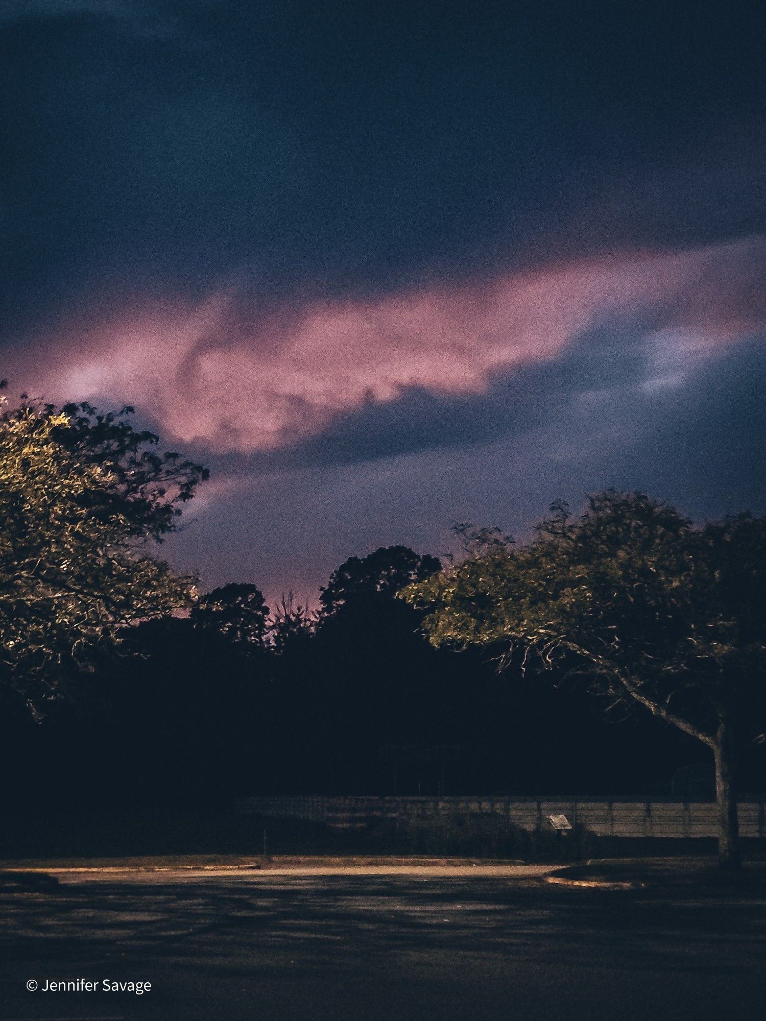 A faded looking grainy photo of trees lit from the side, with a pink and blue sunset hitting the clouds behind them.