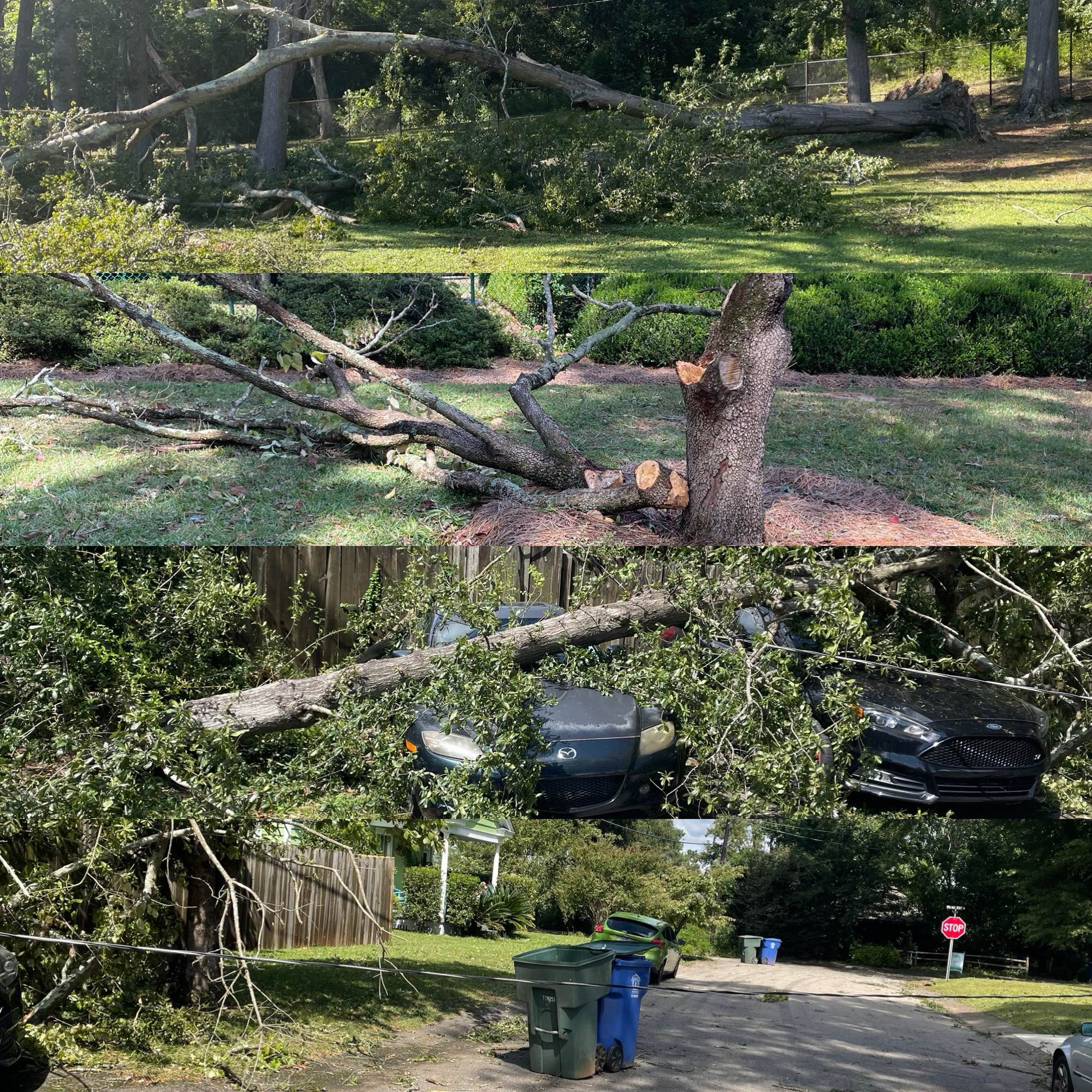 Images of downed trees and a power line, one of a car crushed by a downed tree.