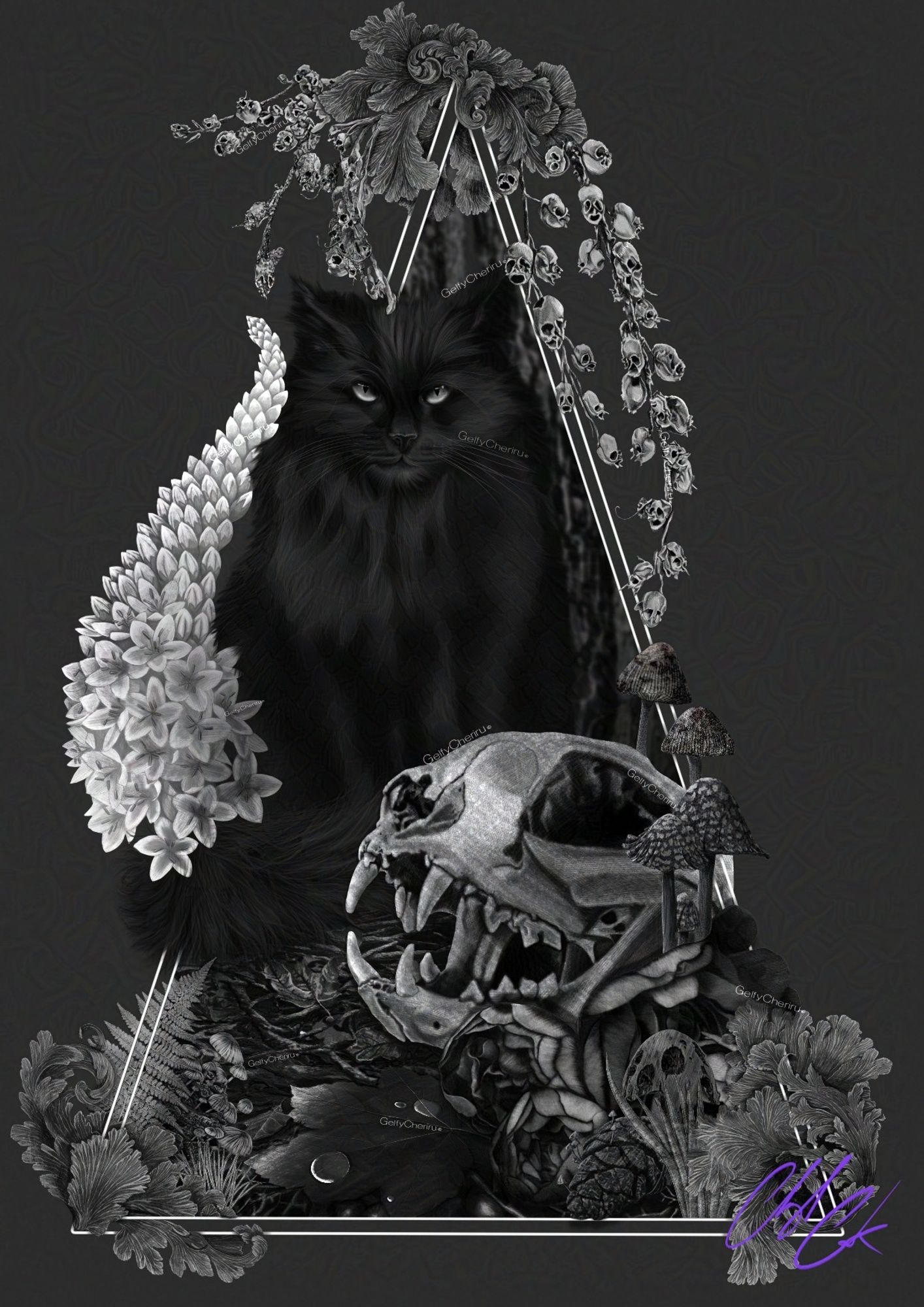 A black and white illustration of a forest with a fluffy black cat. In front of the cat is a collection of mushrooms surrounding an animal skull. There is a triangle border with ornamental mushrooms at the corners and seeded snapdragons. The style of the illustration is ink/pencil hatching.