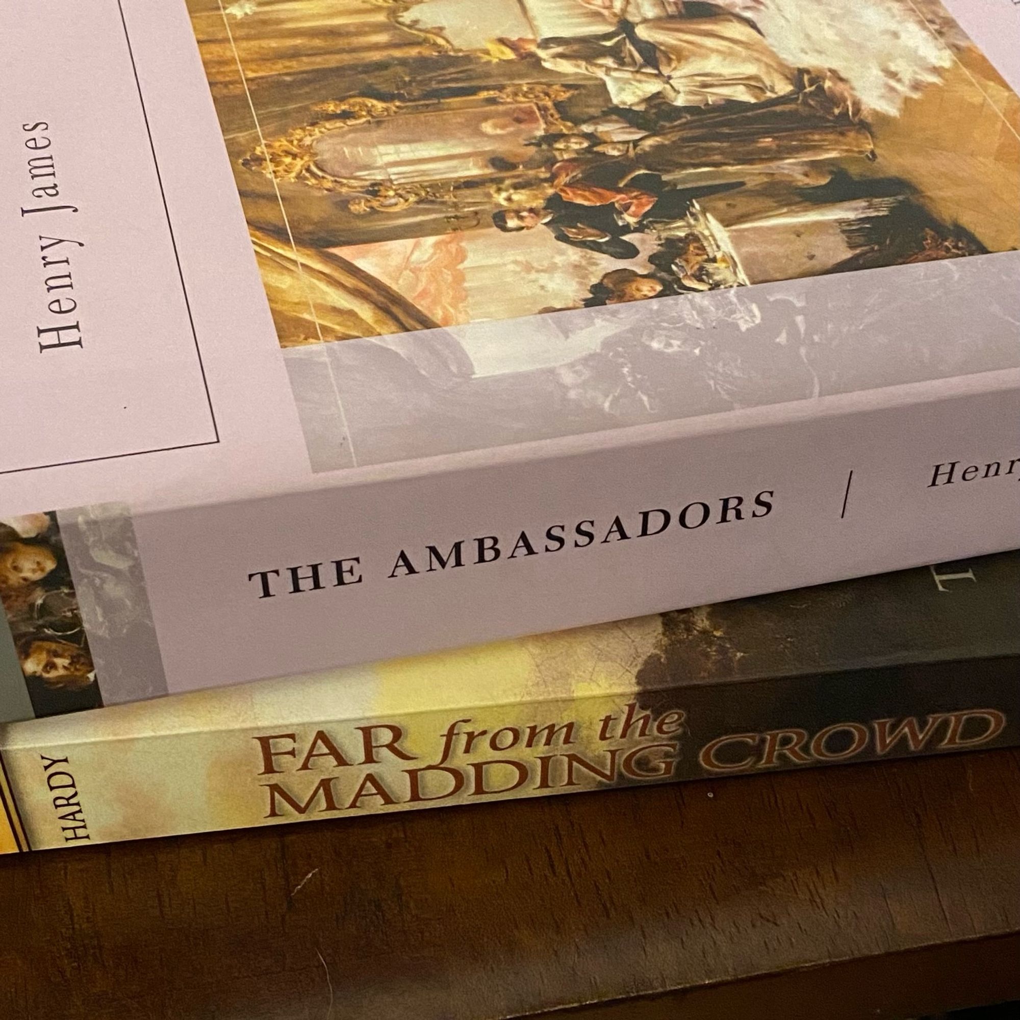 The Ambassadors by Henry James and Far from the Madding Crowd by Thomas Hardy