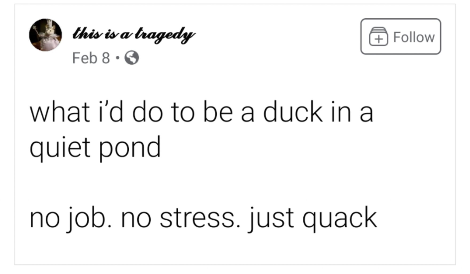 A screenshot of a text post: "what I'd do to be a duck in a quiet pond. No job. No stress. Just quack."