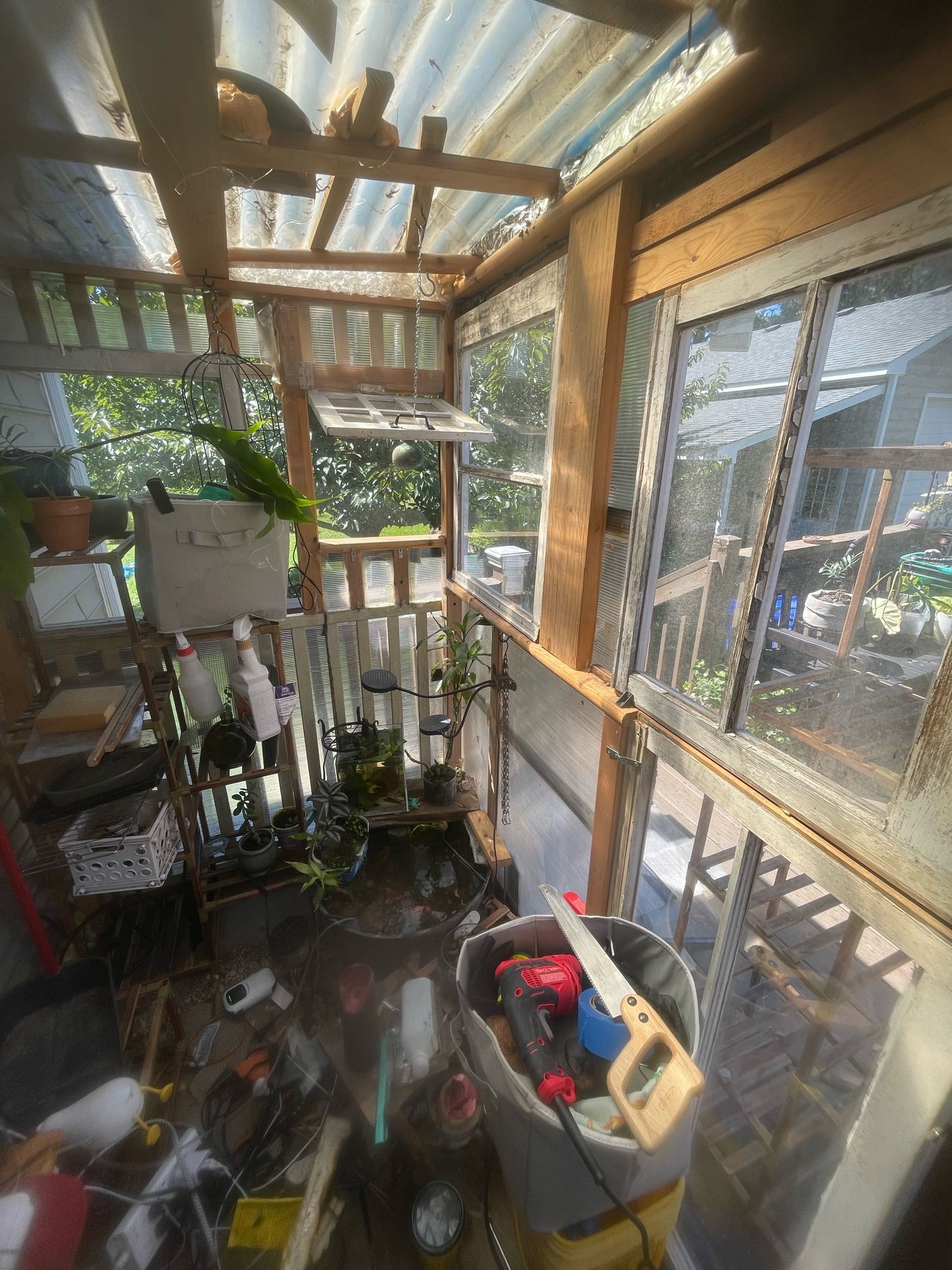 A photo of the inside of my sheshed/greenhouse/TARDIS. It appears to be built by drunk squirrels. I’m actually adding windows I got over the summer and preparing to replace the roof.