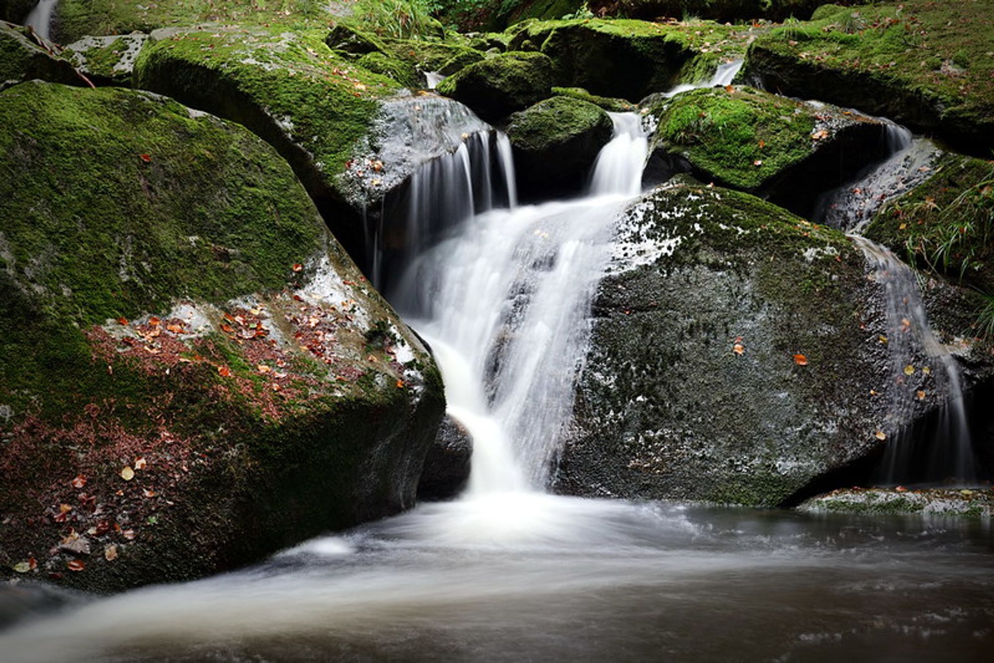 Ein Bach der im Wald über große Felsen fließt, Langzeitaufnahme.