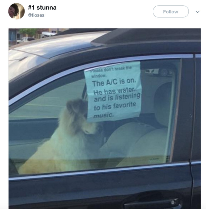 A viral image of a dog in a car with a sign attached to the window that reads "Please don't break the window. The A/C is on, he has water, and is listening to his favorite music."
