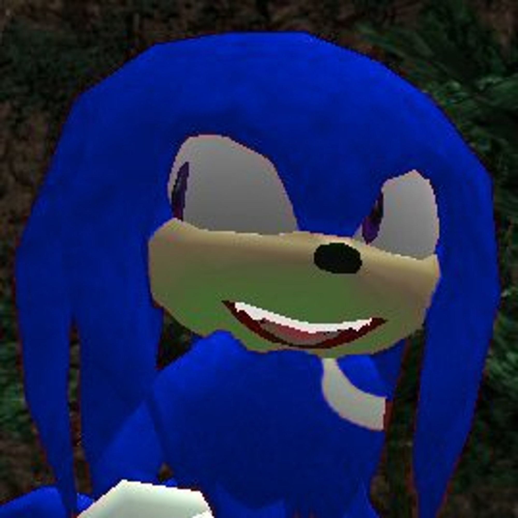 Knuckles the Echidna from Sonic Adventure, but blue.