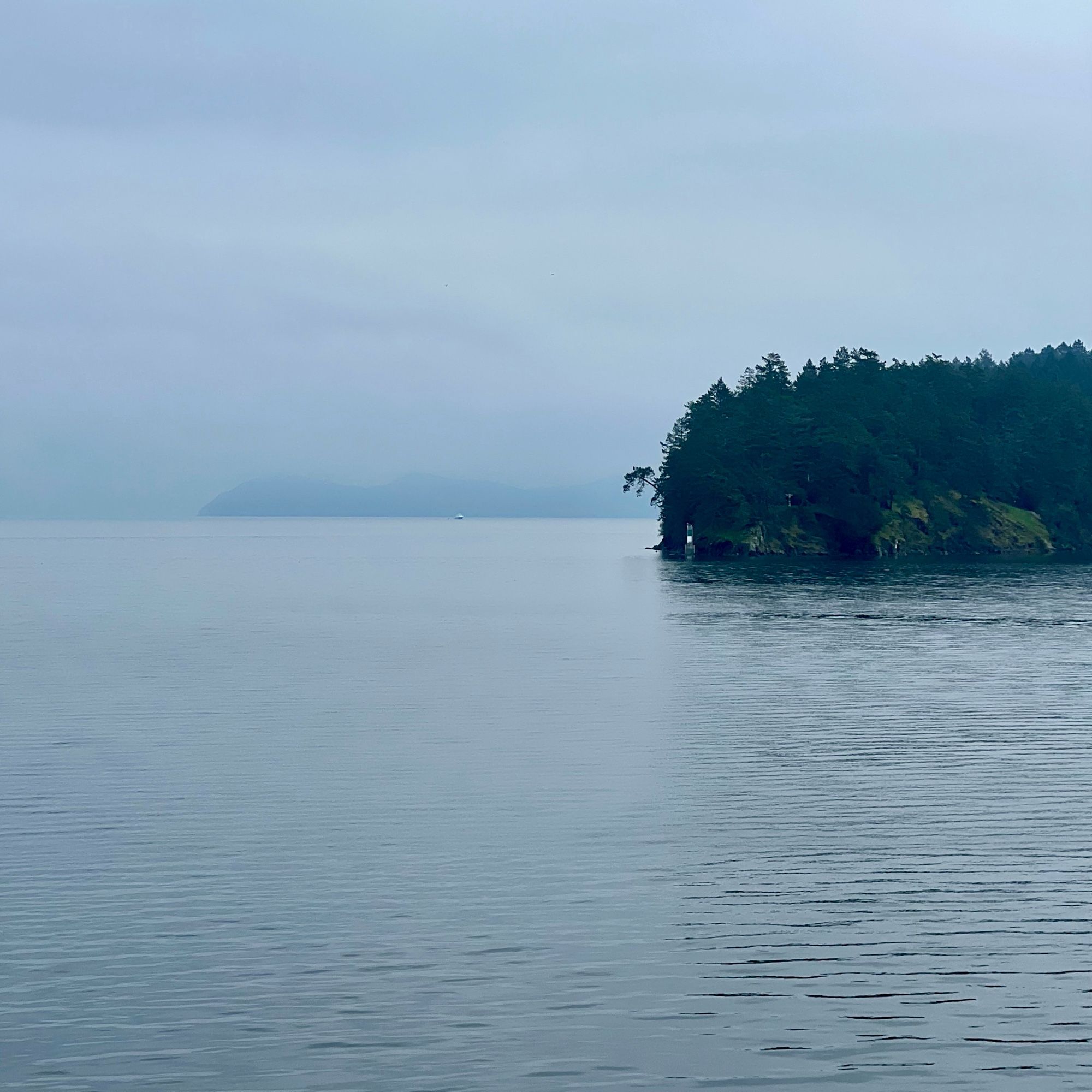 A small wooded island appears through the mist and fog, while sailing through Moresby Passage off Vancouver Island. Photo by Karin Hedetniemi.