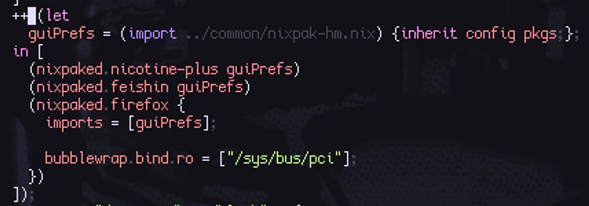 ++ (let
        guiPrefs = (import ../common/nixpak-hm.nix) {inherit config pkgs;};
      in [
        (nixpaked.nicotine-plus guiPrefs)
        (nixpaked.feishin guiPrefs)
        (nixpaked.firefox {
          imports = [guiPrefs];

          bubblewrap.bind.ro = ["/sys/bus/pci"];
        })
      ]);