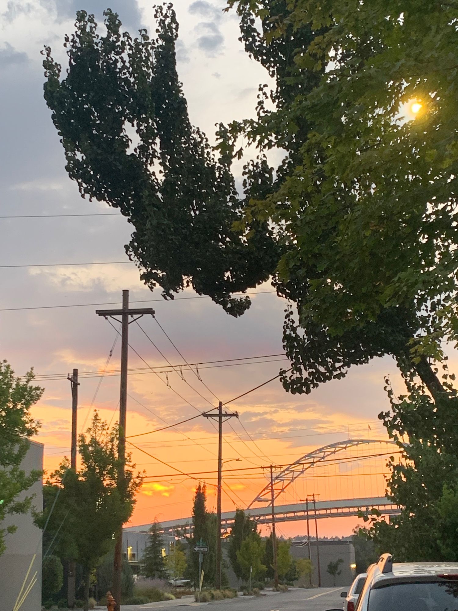 Rosy, warm, slightly overcast predawn skies over an industrial area with warehouses, trees, houses, telephone poles, and wires crisscrossing in every direction. The street lamps are still on. A suspension bridge dominates the horizon in the distance