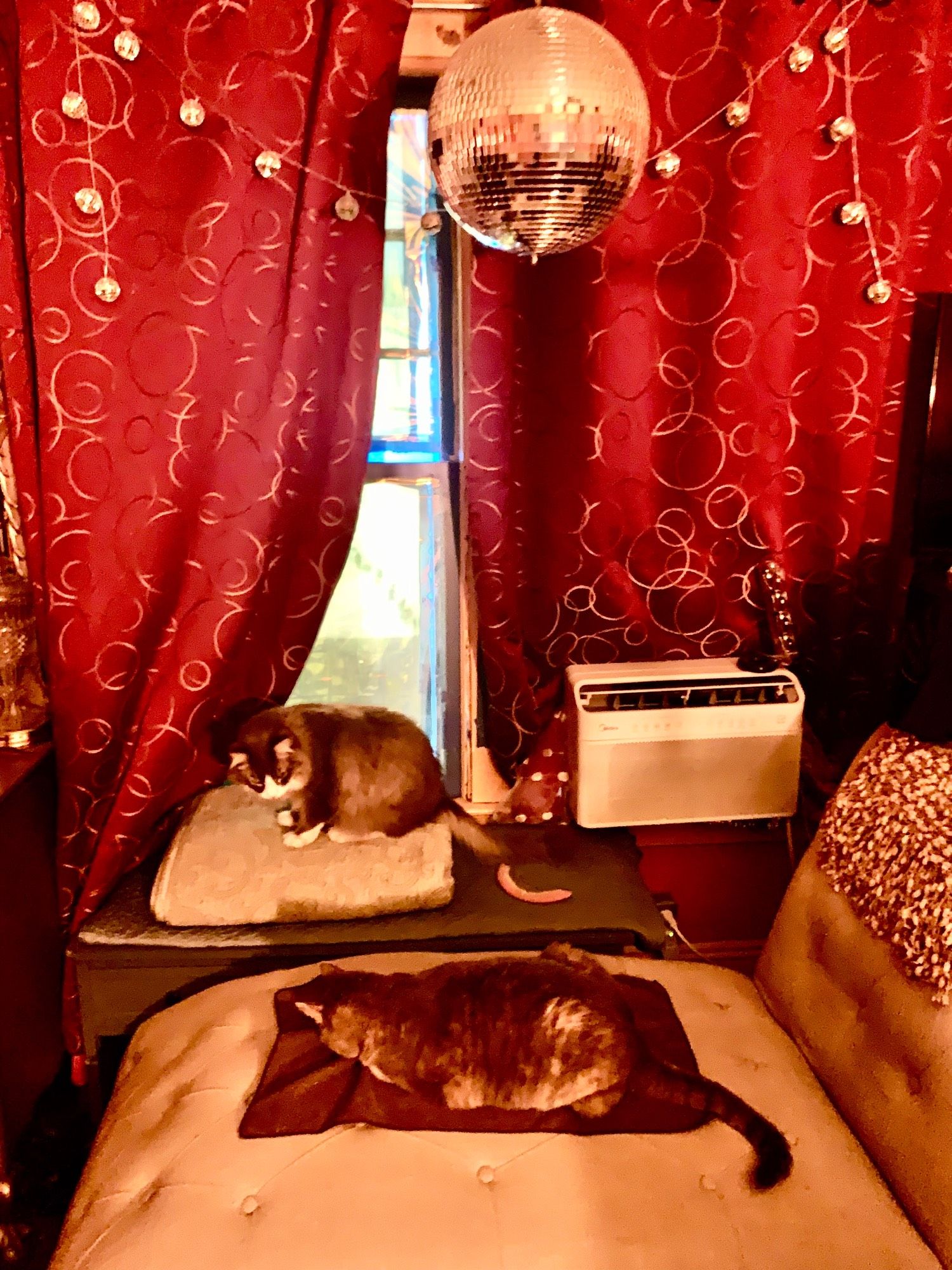 My cats Jane The Magnificent & Tarzan the Maine Coon hoovering up catnip in the window boudoir, which consists of a window seat area with a beige chaise under a disco ball. Heavy red patterned curtains are shut against the heat. 

Tarzan is an extra large extra superfloof grey and white tuxedo cat sitting atop a folded sage green embroidered bedspread and Jane is a chonky silver grey & cream orange tortoiseshell tabby loafing on a brown towel set over the chaise. Both cats are ignoring the camera completely