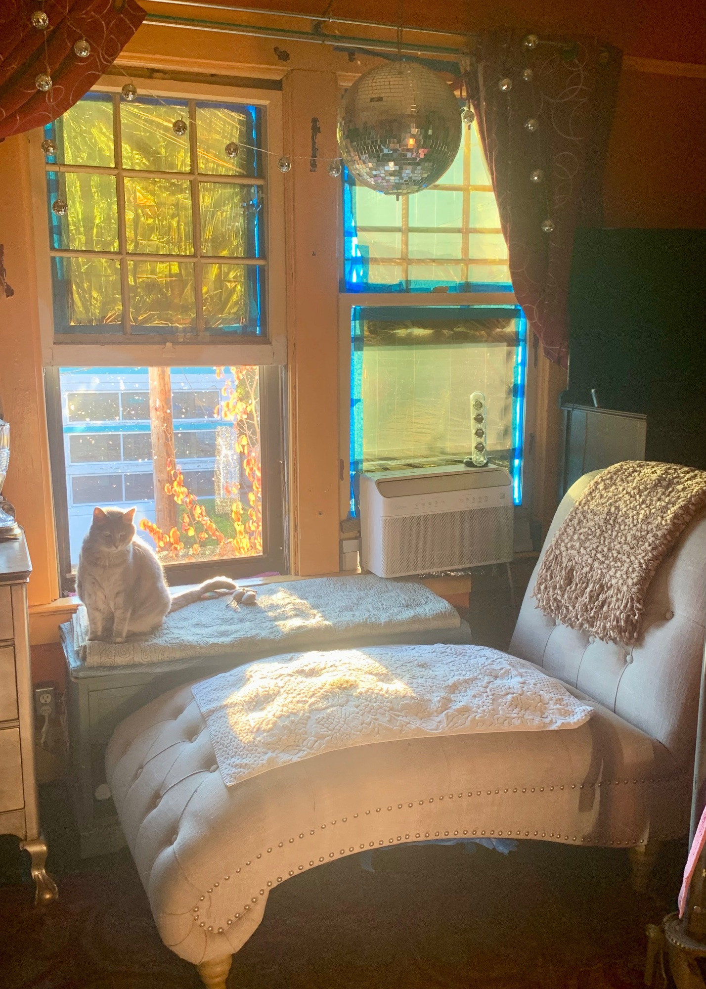 My cat Jane The Magnigicent sitting under a disco ball in a window seat area. The windowpanes are taped with gold reflective foil against the summer heat. One side is open to reveal reddish autumn leaves on the tree outside. Jane is a silver grey & cream orange tortoiseshell tabby whose fur reflects metallic silver sheen due to her extra soft double undercoat.