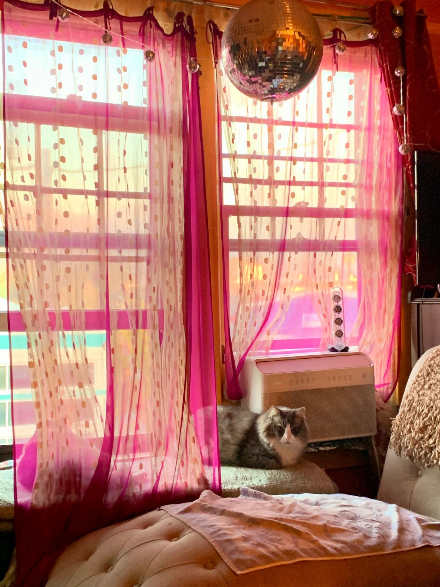 A window seat area with sheer, gold dotted and magenta curtains, with my cats Jane The Magnificent and Tarzan the Maine Coon, sleeping on folded blankets by the windowsill, under a disco ball. A chaise sits adjacent, with a catnip towel over it. Both cats are grey & chonky but Jane is a grey tortoiseshell tabby & Tarzan is a massive superfloof grey & white tuxedo cat. One panel of curtains is tucked between the chaise and the seat, making sort of a tent shape over Jane, who is curled up over a hidden, pet safe heating pad for her old bones. Tarzan’s superfloof coat keeps him very warm at all times & is already thickening up for winter, so he’s loafing on the side without a heating pad, looking at the observer with his big golden eyes. 

A peaceful Monday morningsky to all skeetzerz near and far especially the east coast peeps dealing with Helene & it’s terrible aftermath