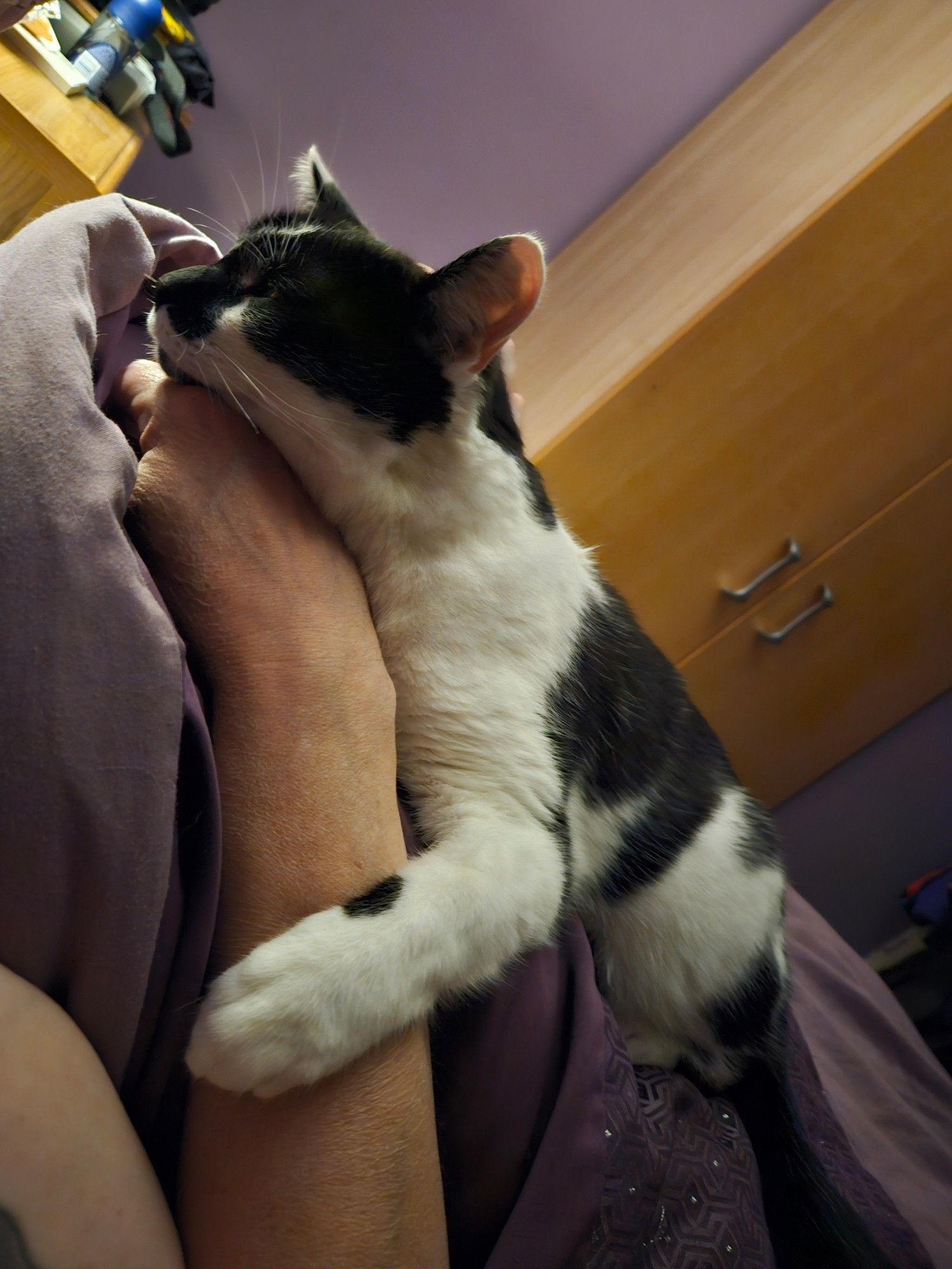 Black and white cat cuddling the arm of a sleeping human. Looks like neither cat nor human will achieve anything today, so deeply do they sleep