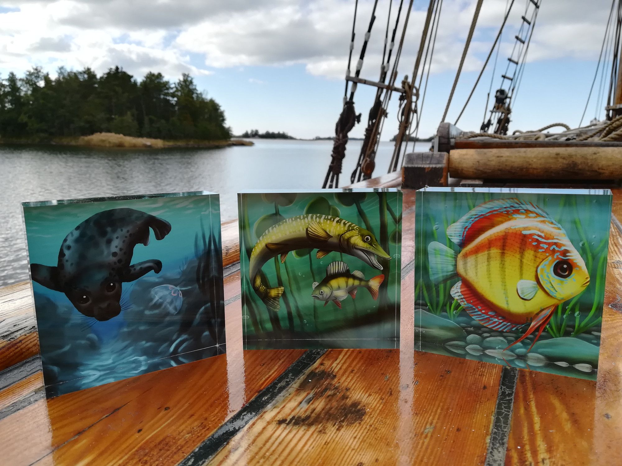 A photo of three decorative acrylic blocks with illustrations that make them look like tiny aquariums. One features a gray seal curiously looking at a moon jellyfish underwater. One features a pike and a perch under some lily pads. One features a discus, which is a colorful freshwater fish often kept as a pet. All three have been placed on the deck of a traditional sailing ship with the sea and some islands in the background.