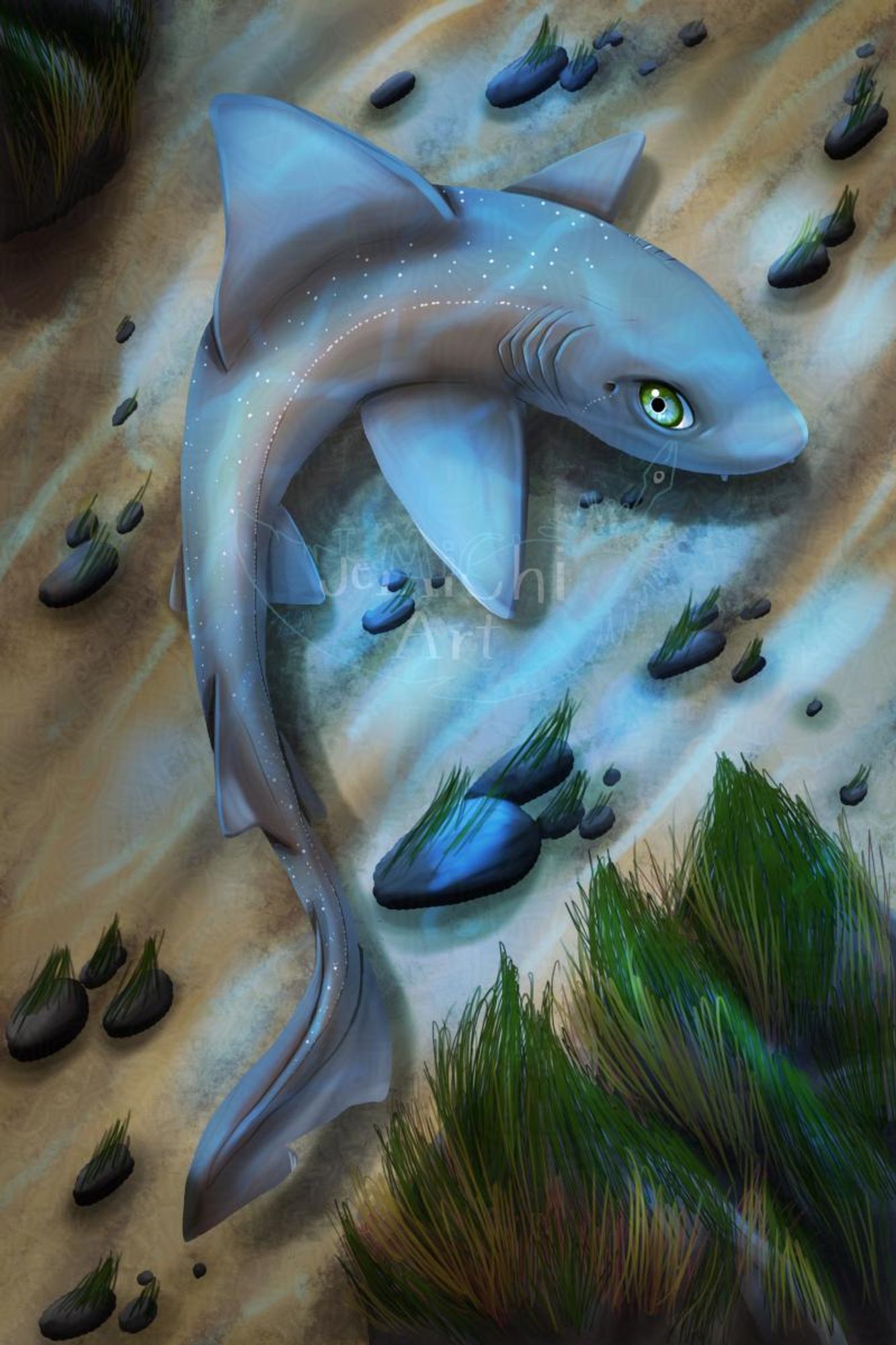 An illustration of a starry smooth hound shark on the sandy bottom of the sea