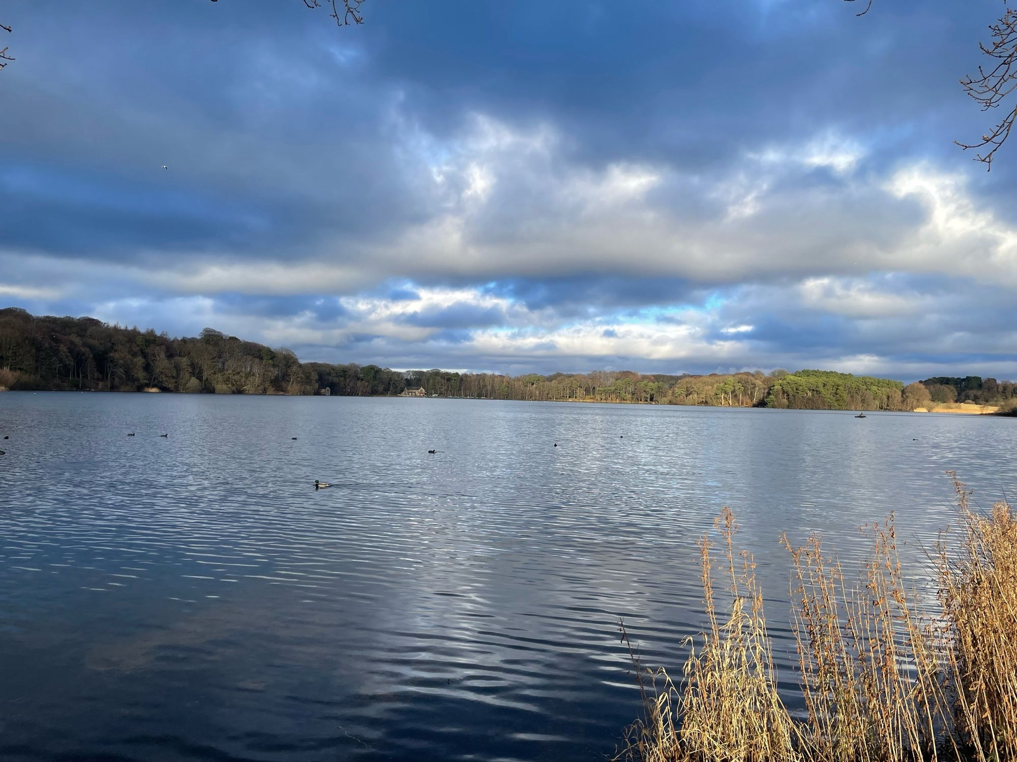 Dark Tarn with brooding sky