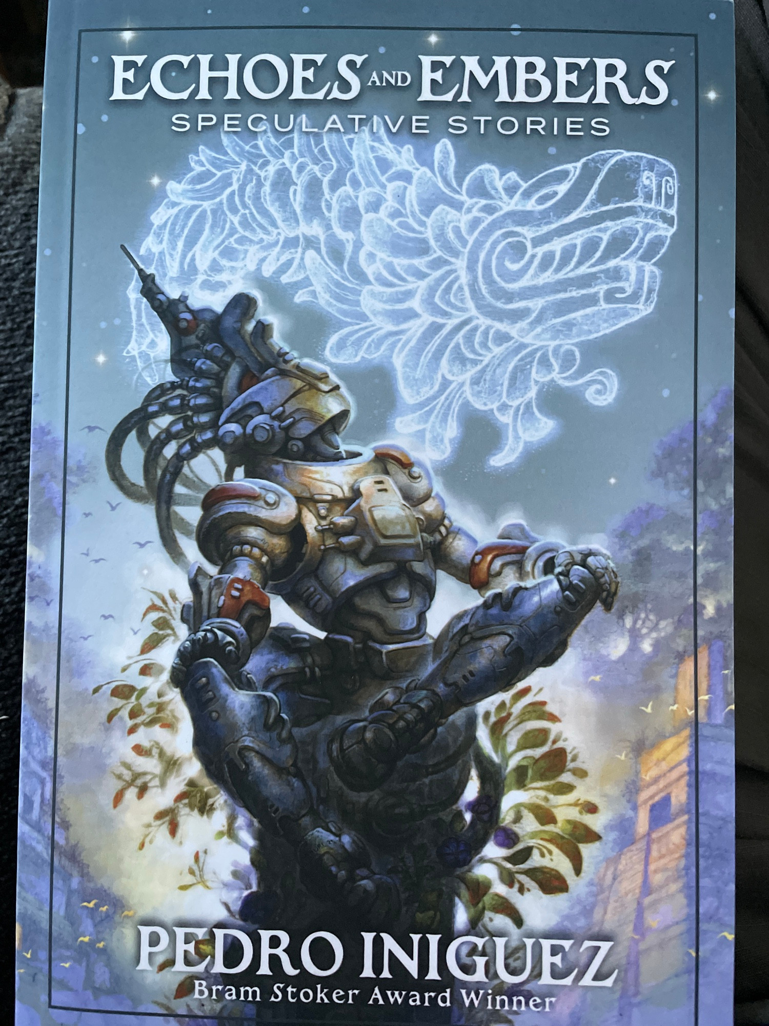 Cover of “Echoes and Embers” by Pedro Iniguez 