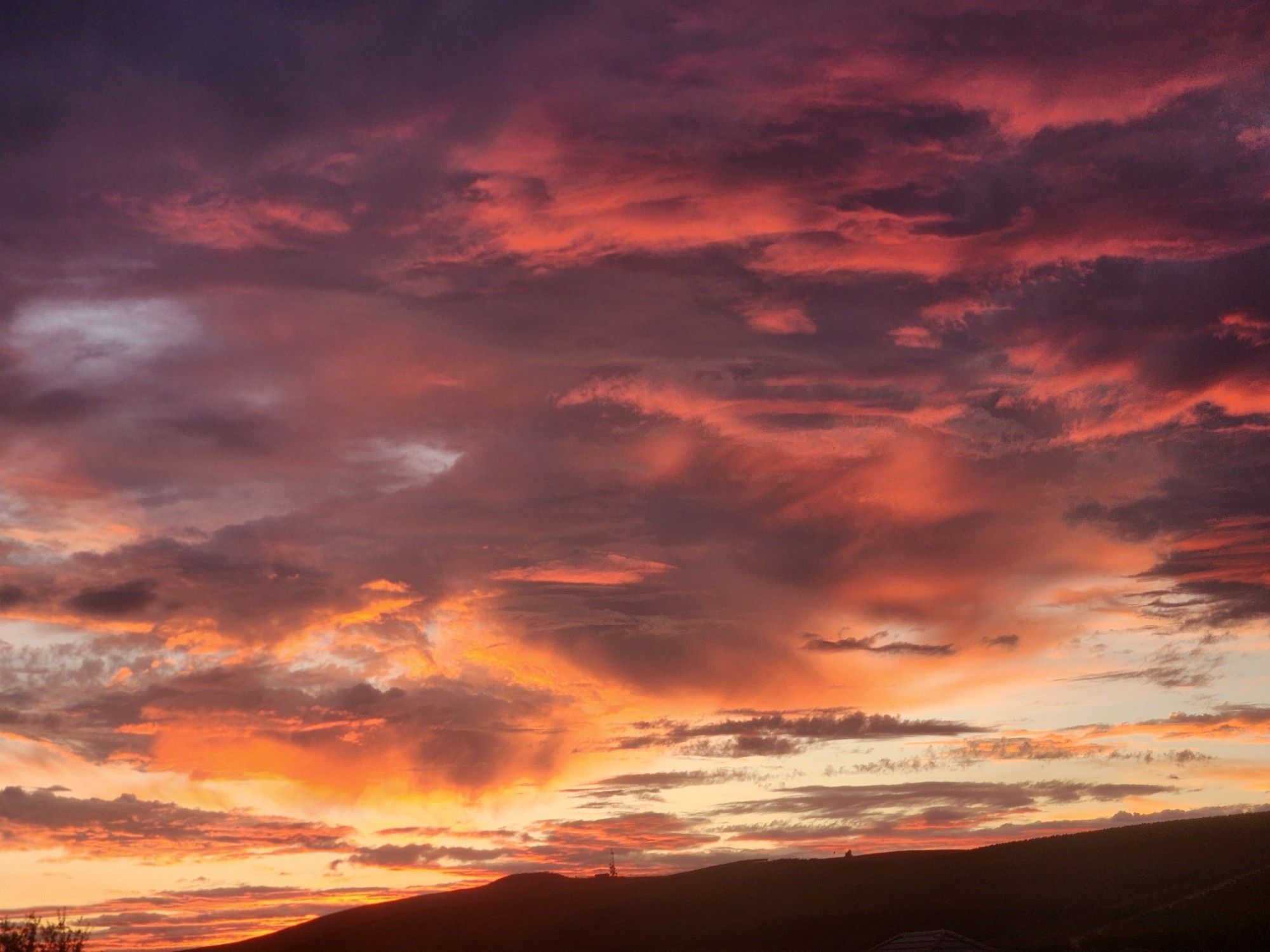 Sunset with cute pink lighting on fluffy clouds that are super rare in the bay area