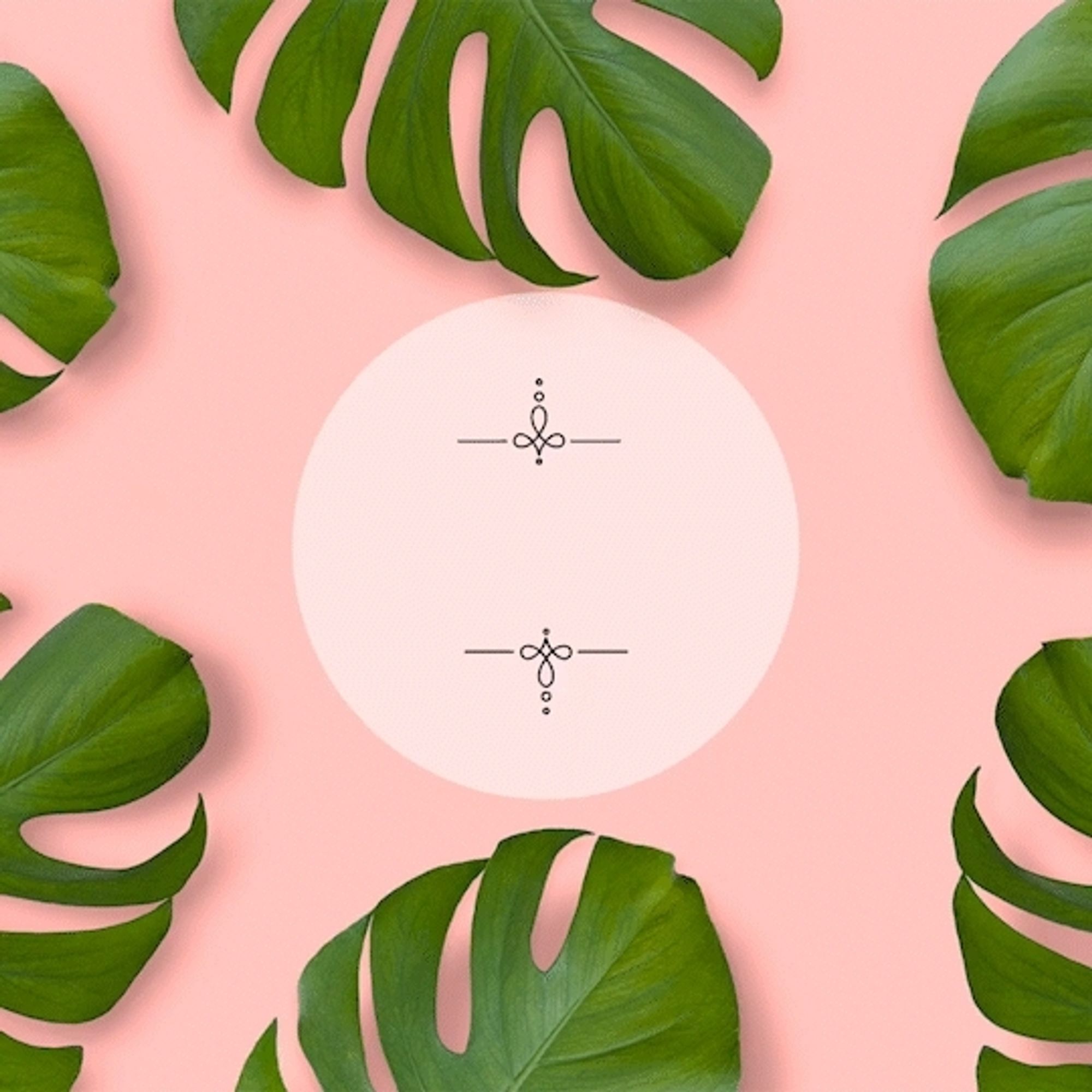 A graphic with a pink background and several large monstera leaves around the edge text comes from above and below the image to the center and says thank you for supporting someone