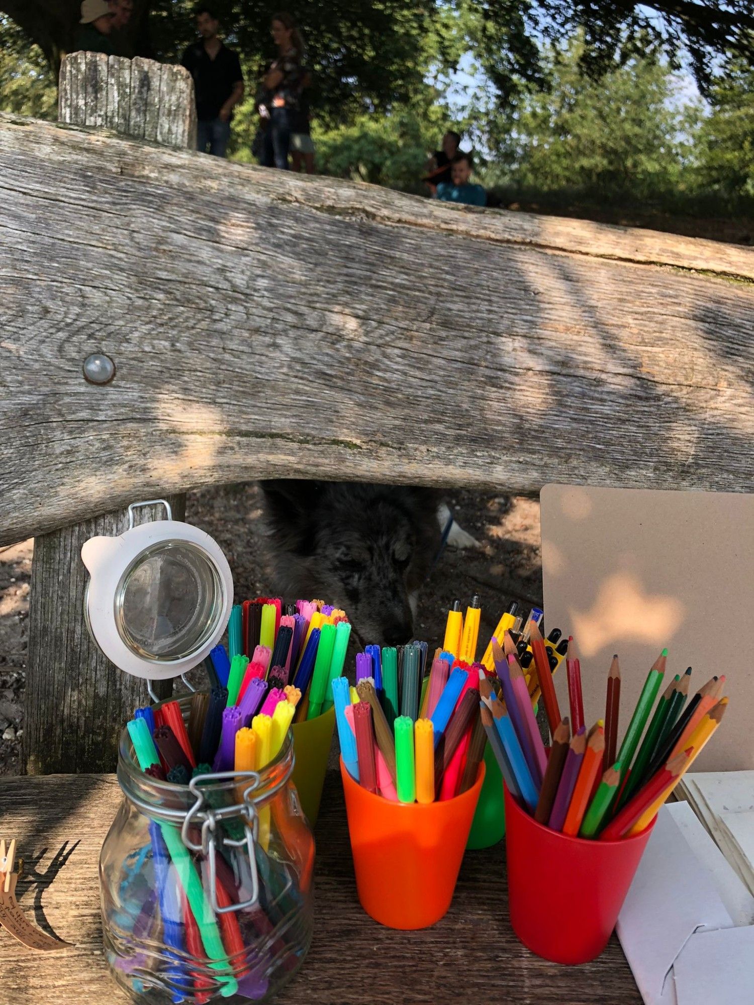 Een kleurige verzameling stiften in kleurige bekertjes op het bankje onder de boom. Er is een klein stukje zichbaar van het prachtige met bloemen ingelegde papier van De Middelste Molen in Eerbeek.