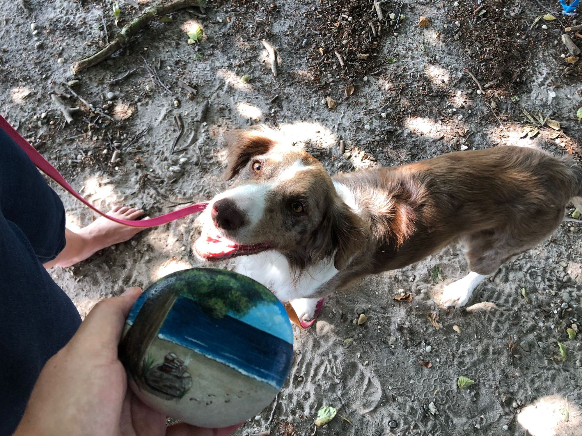 Hond Liv kijkt naar ons, terwijl we de prachtig beschilderde steen van Sam vasthouden.