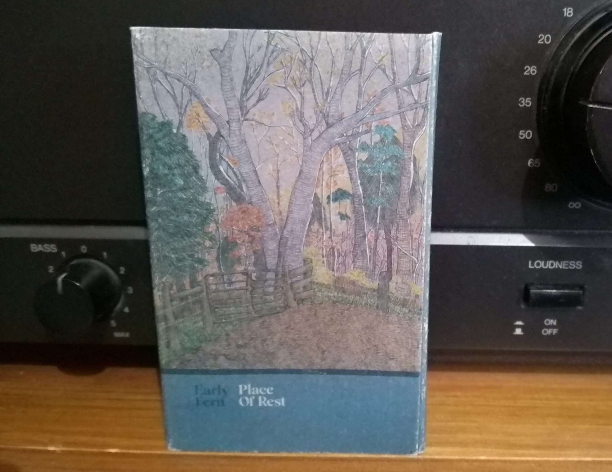 Early Fern - Place Of Rest on Métron Records on cassette 