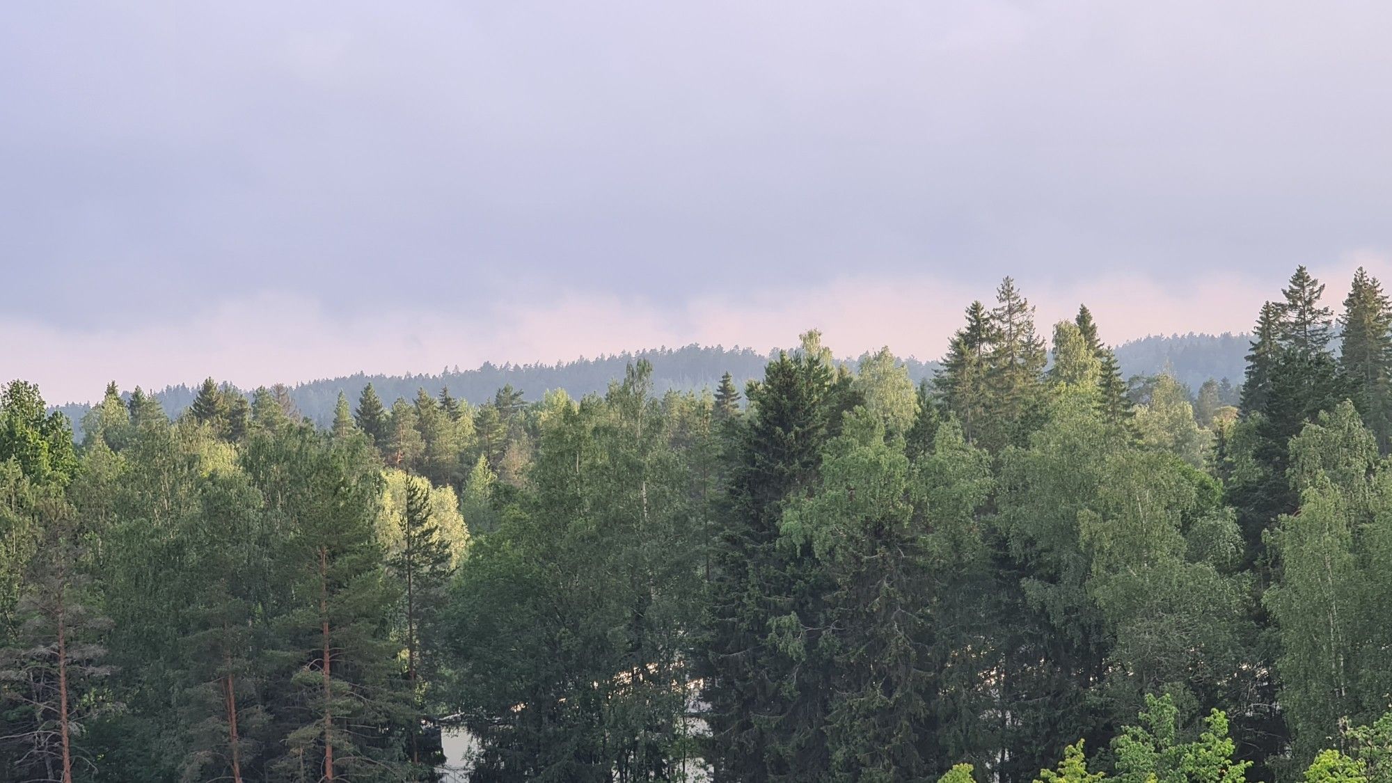 A forest set against a very light purple sky, early evening in July, south of Finland.