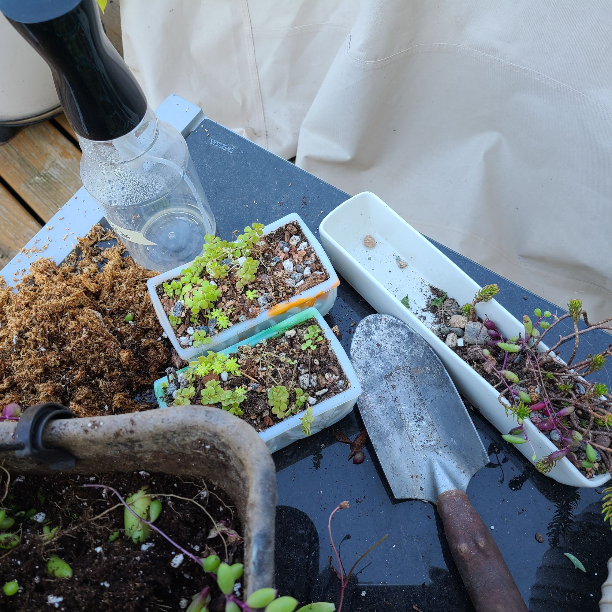 Empty planters waiting for succulents, long skinny rectangle, 2 small rectangles, trowel with red handle