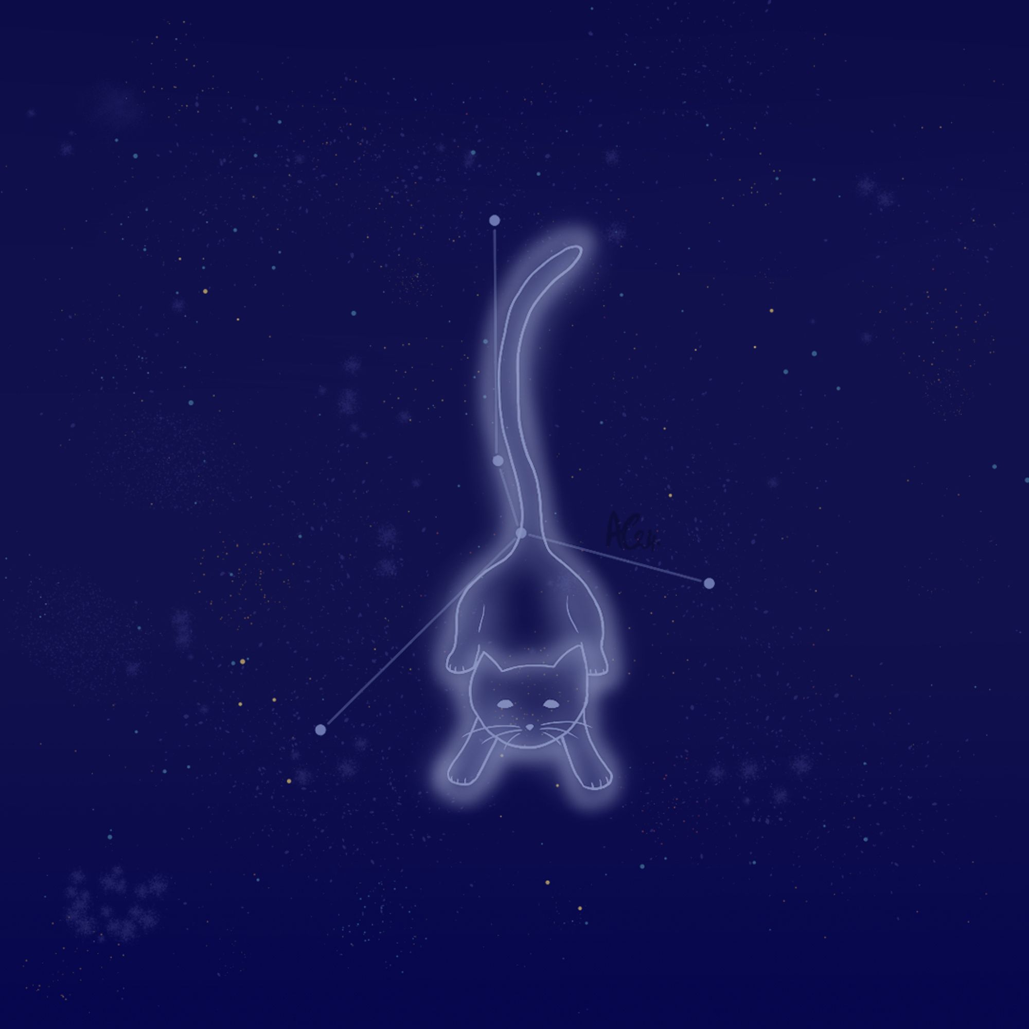 Cancer cat with the Cancer constellation behind the cat.