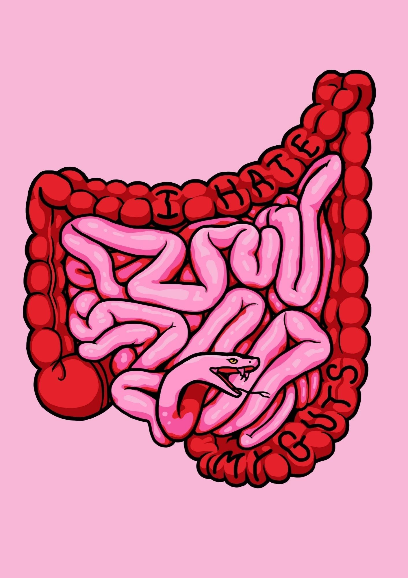 An illustration of the intestines, with the pink small intestines morphing into a hissing snake head, and the red large intestines featuring the words 'I hate my guts'