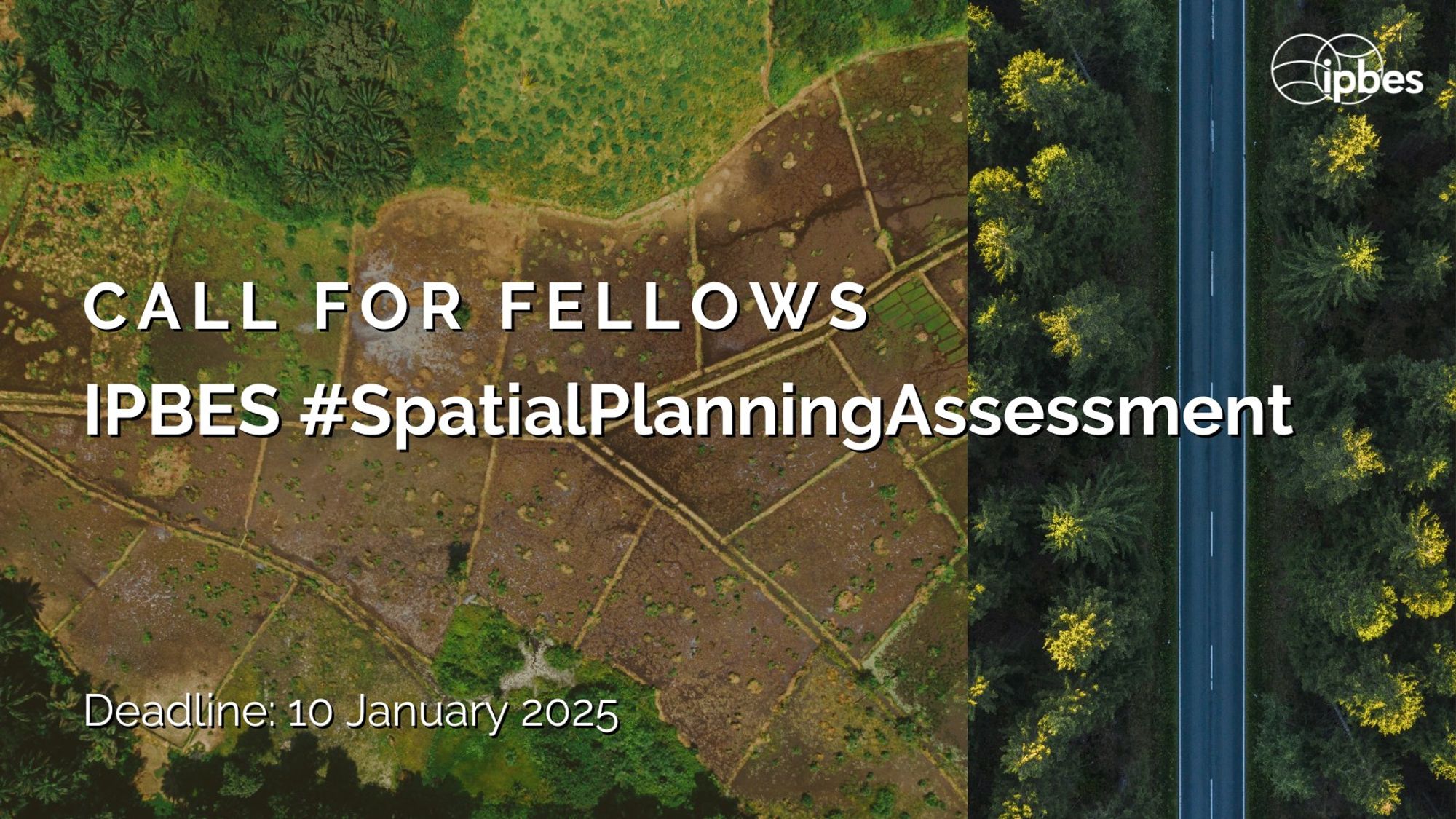 An aerial image shows a landscape divided between lush green forest on the right and patchy agricultural land on the left. The road between the two areas runs vertically through the image. The text reads: "Call for Fellows: IPBES #SpatialPlanningAssessment. Deadline: 10 January 2025." The IPBES logo appears in the upper-right corner.