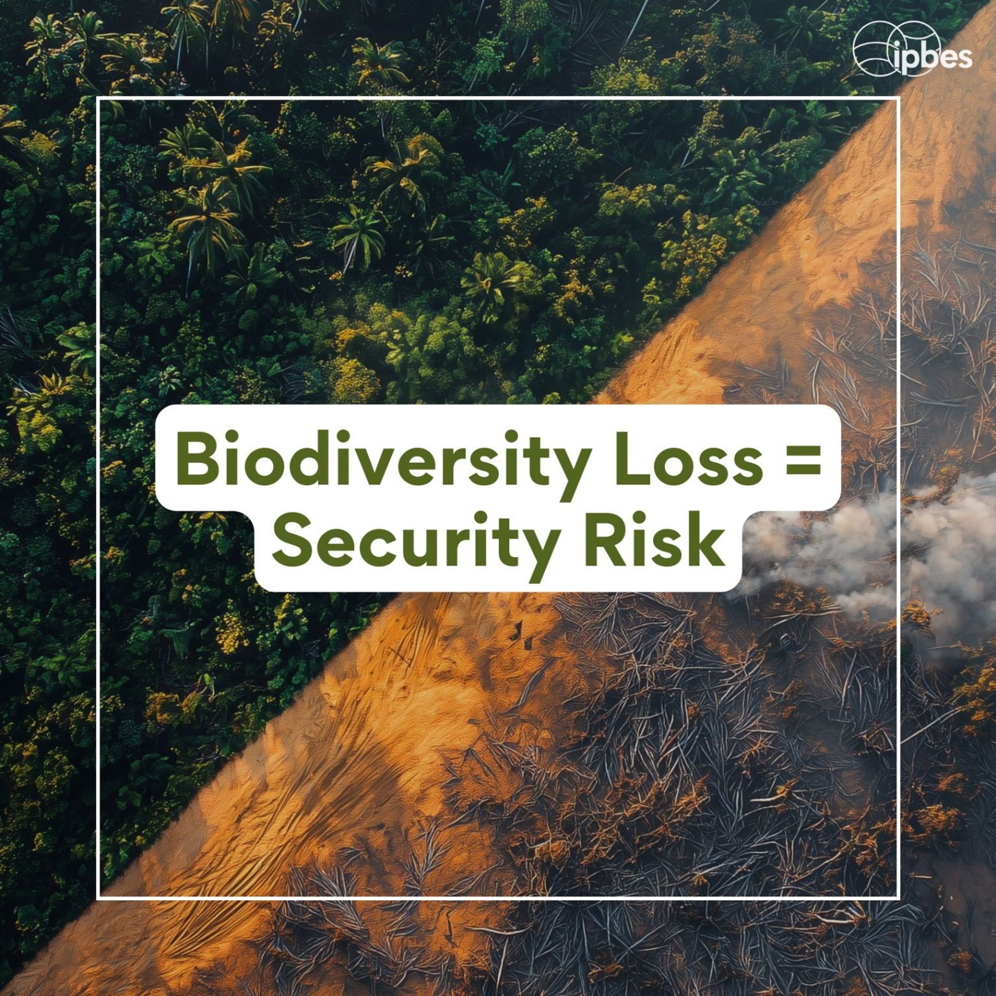 Image split between lush green forest on one side and deforestation on the other. Overlay text reads: "Biodiversity Loss= Security Loss"