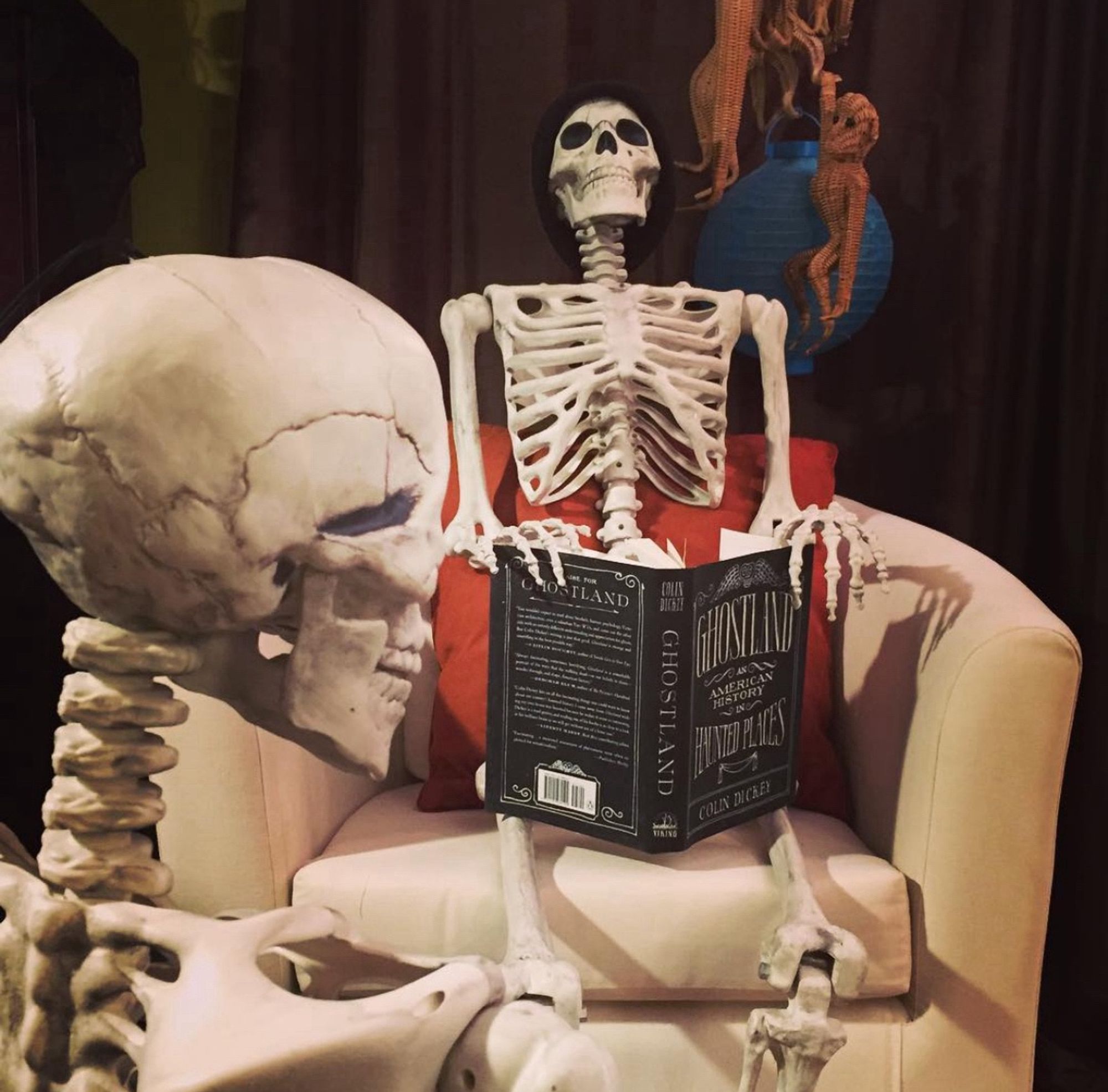 A plastic skeleton in a white ikea barrel chair reads to a skeleton sitting in front of him on the floor. The book is Colin Dickey’s Ghostland.