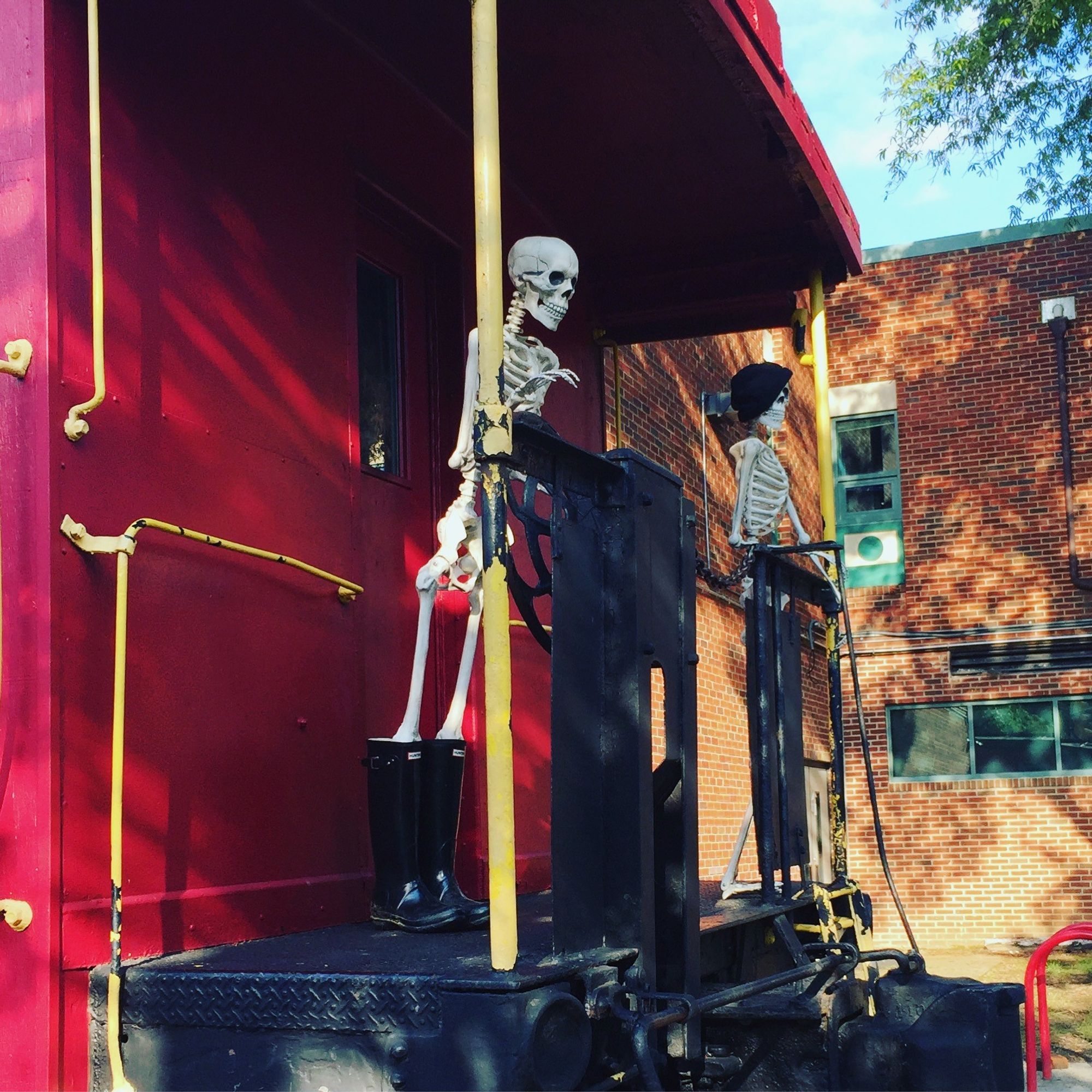 A pair of plastic halloween skeletons "play" on a parked decommissioned red train caboose. They're standing at the back of the car. The one wearing Black hunter boots pretends to steer. The one in the black knit cap hangs on for dear life.