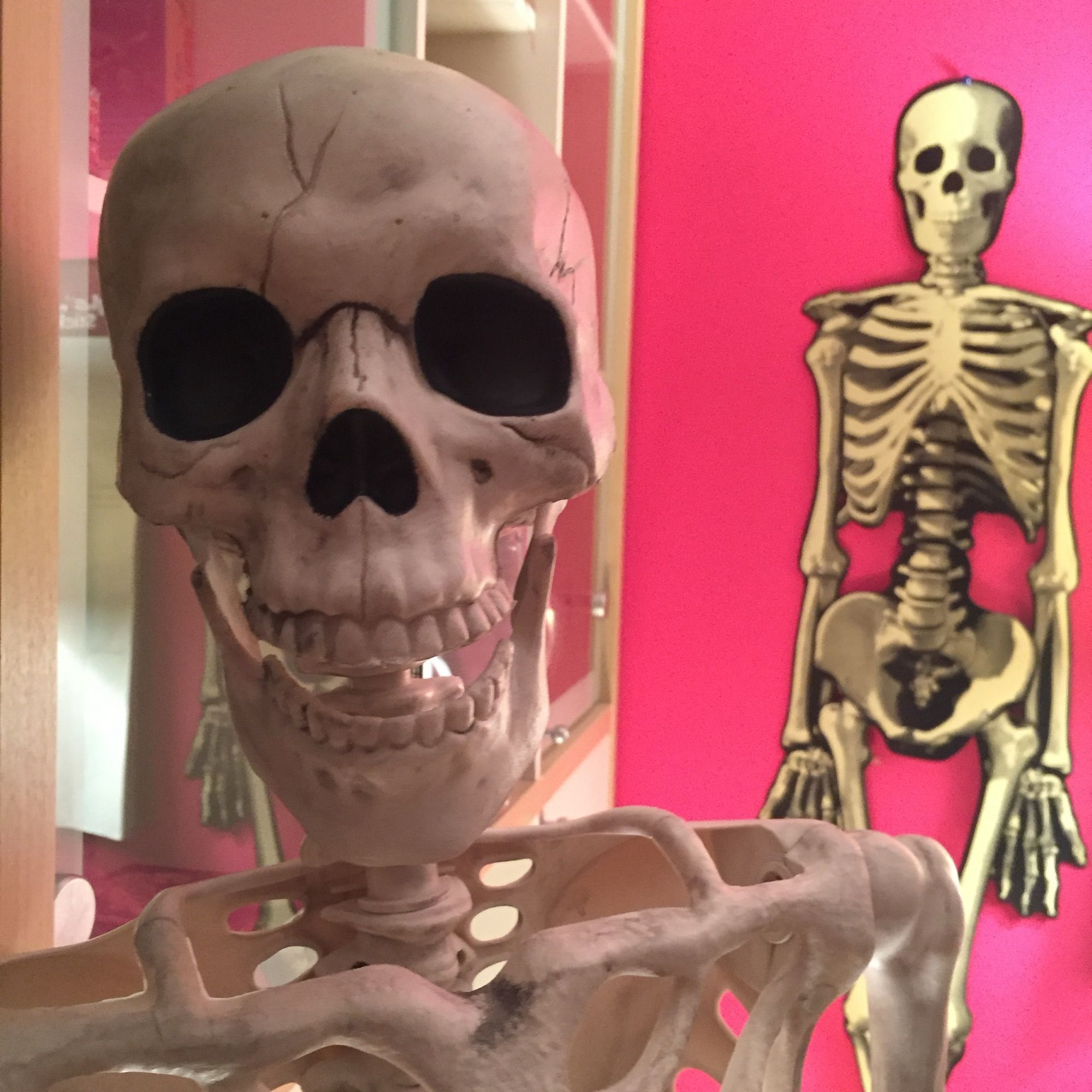 A closeup selfie of a plastic Halloween skeleton standing in front of an old-fashioned paper skeleton cut-out on a hot pink wall.