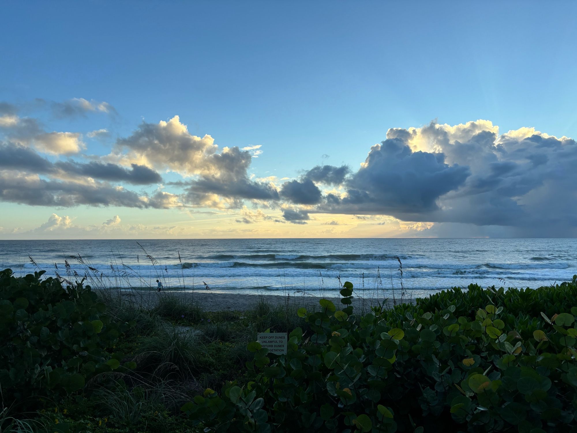 View looking out over the Atlantic Ocean from the Florida coast during sunrise. The foreground has lush greenery followed by sand and beautiful backlit clouds in the distance above the ocean.