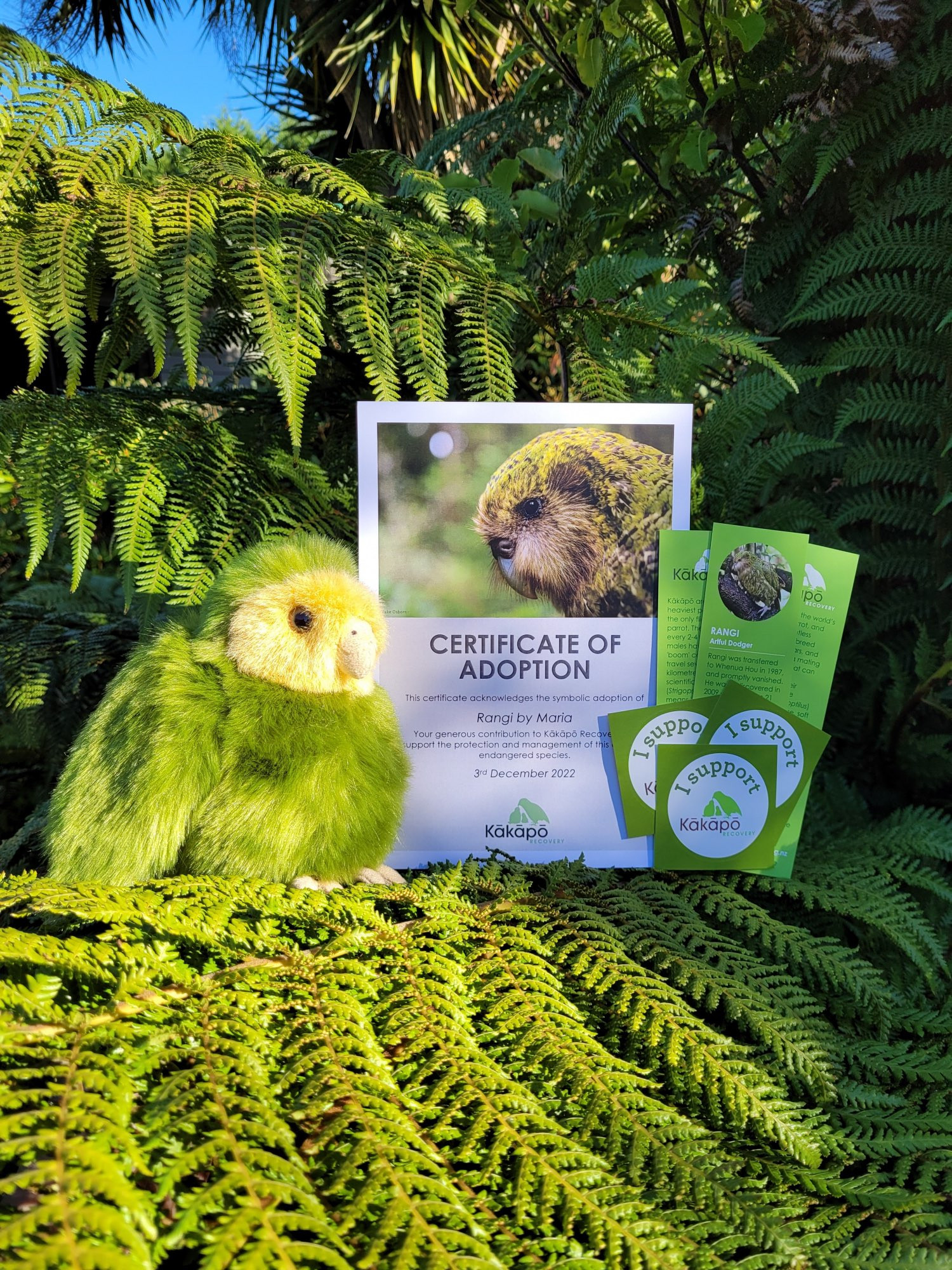 A kākāpō adoption pack on a tree fern. Credit: Jodie Crane