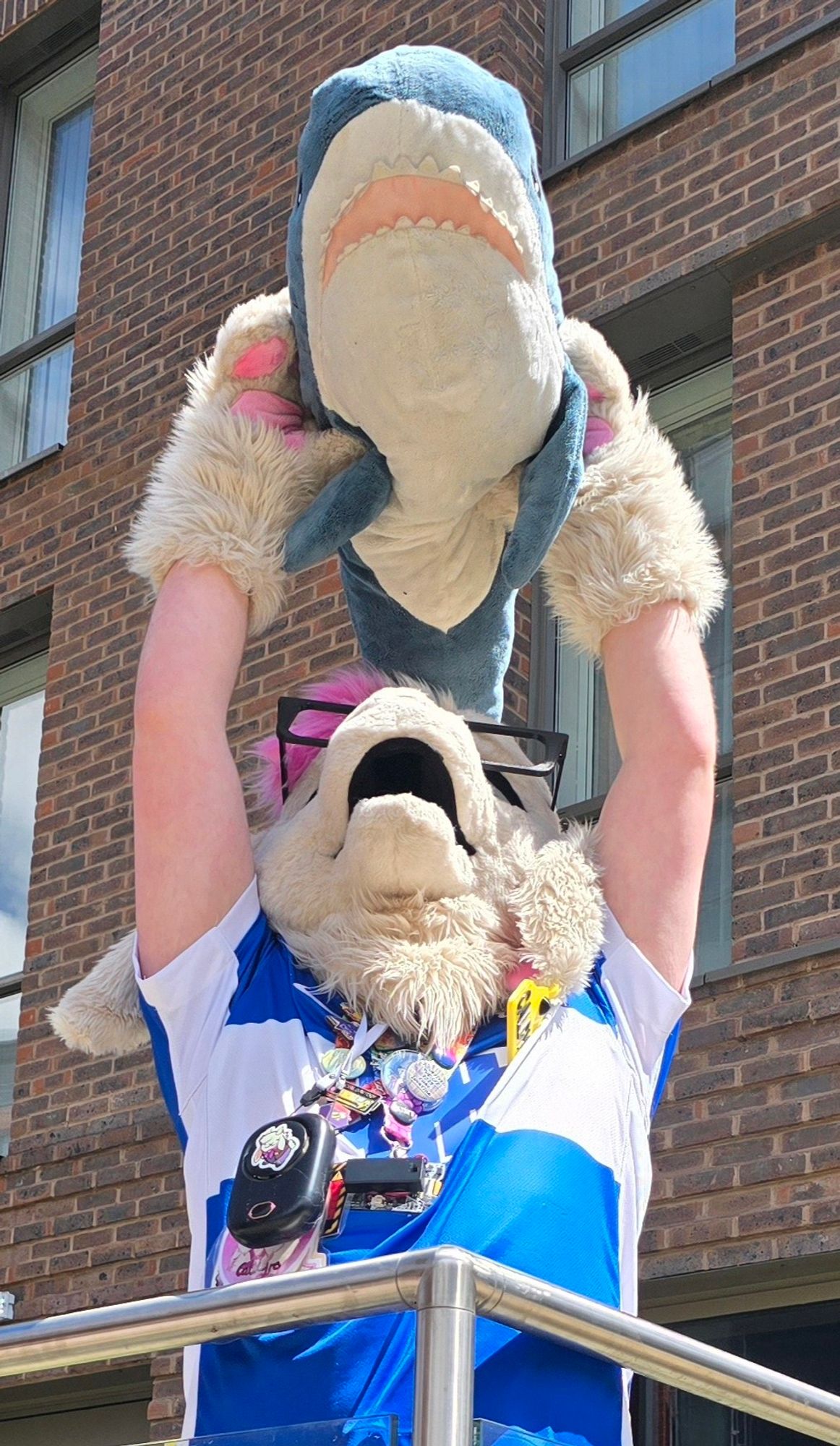 goat fursuiter holding up a blåhaj in the lion king circle of life pose