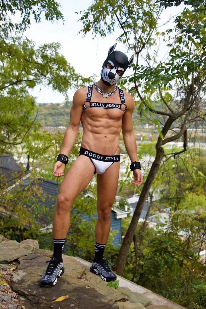 Repost from @pup_arius:

We do not conquer the lands, we conquer the hearts.

📸 @m_mayhem @dsunleashed #gearpuppy #gearpup #puppyhood #puppyfetish #gayunderwearfetish #gayunderwear #gayharness #gayjockstrap #humanpuppyfetish