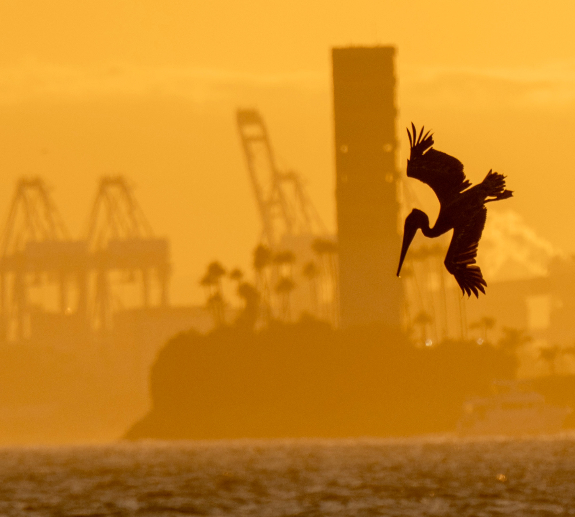 a pelican dives into the ocean with an oil island and container cranes in the background against an orange sky