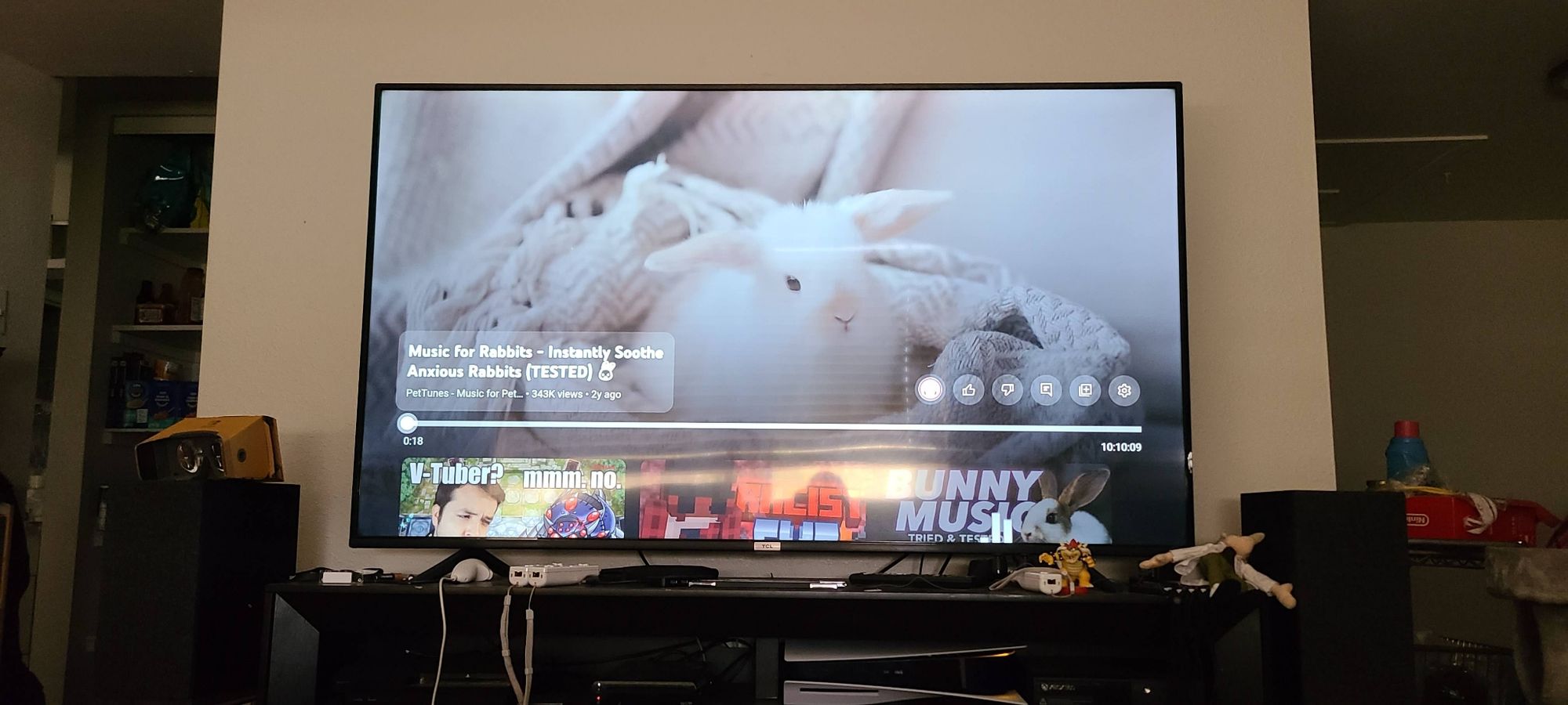 A photo of a large flatscreen TV playing a YouTube video titled "Music for Rabbits - Instantly Soothe Anxious Rabbits (TESTED)"