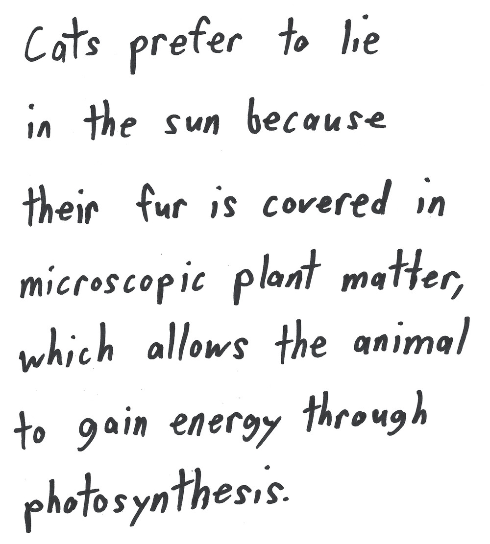 Cats prefer to lie in the sun because their fur is covered in microscopic plant matter, which allows the animal gain energy through photosynthesis.