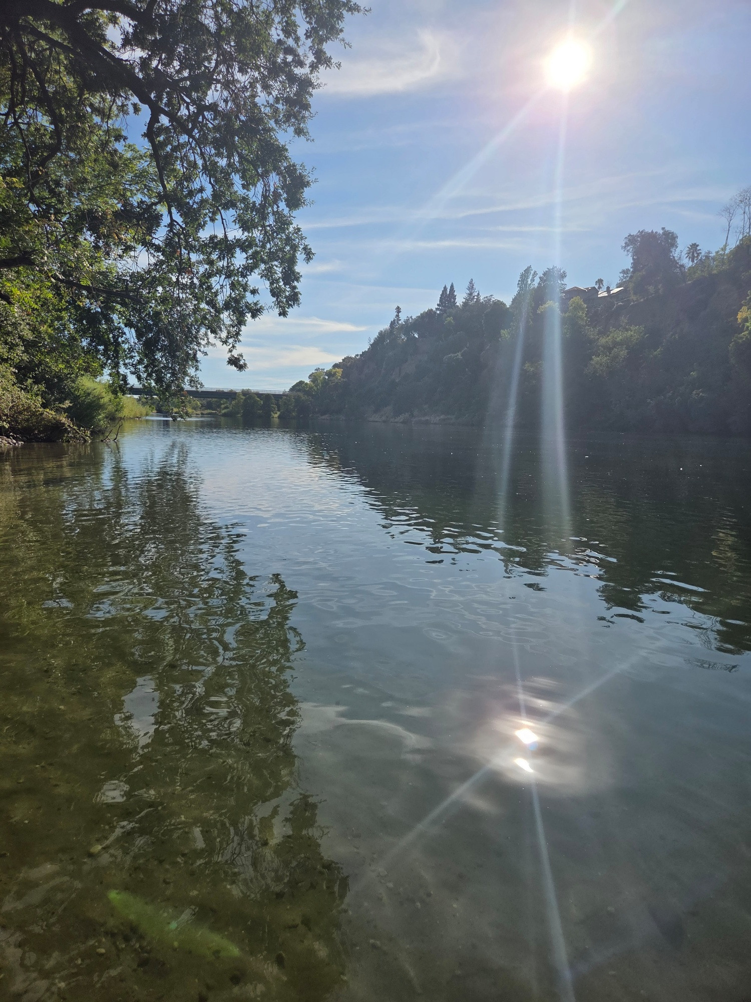 A stunning collection of light. The son shines brightly and reflects off the surface of the river. Sunbeams extend away from the sun, and the refraction in the water adds a 3 dimensional aspect to all the angles of sunlight we see. 