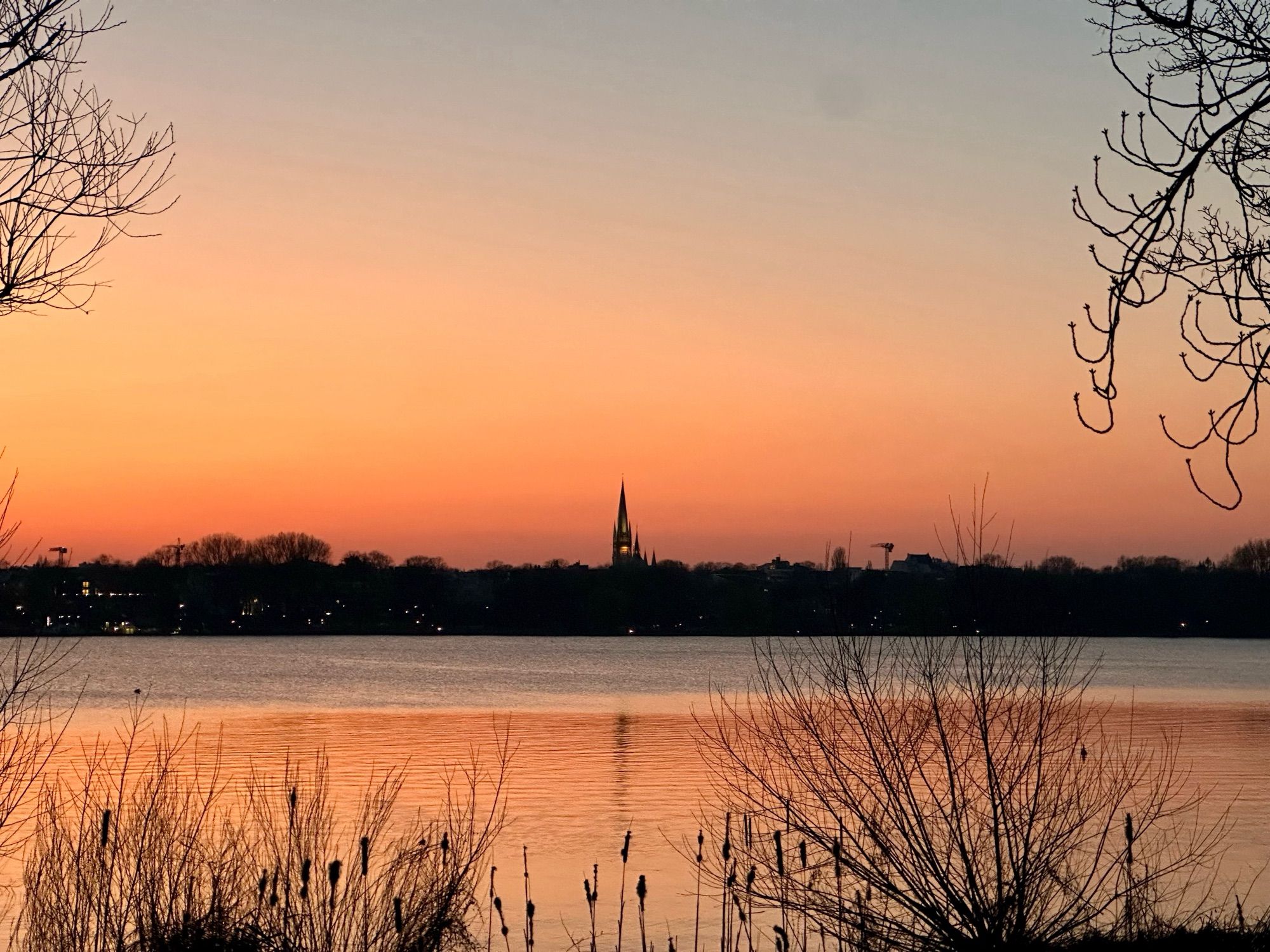 Das Bild zeigt die hamburger Außenalster. Der Blick geht zwischen Bäumen und Sträuchern auf das gegenüberliegende Ufer, welches in einen orangenen Sonnenuntergang getaucht ist. In der Mitte der sich schwarz abhebenden Baum- und Hausreihe ragt ein Kirchturm auf.