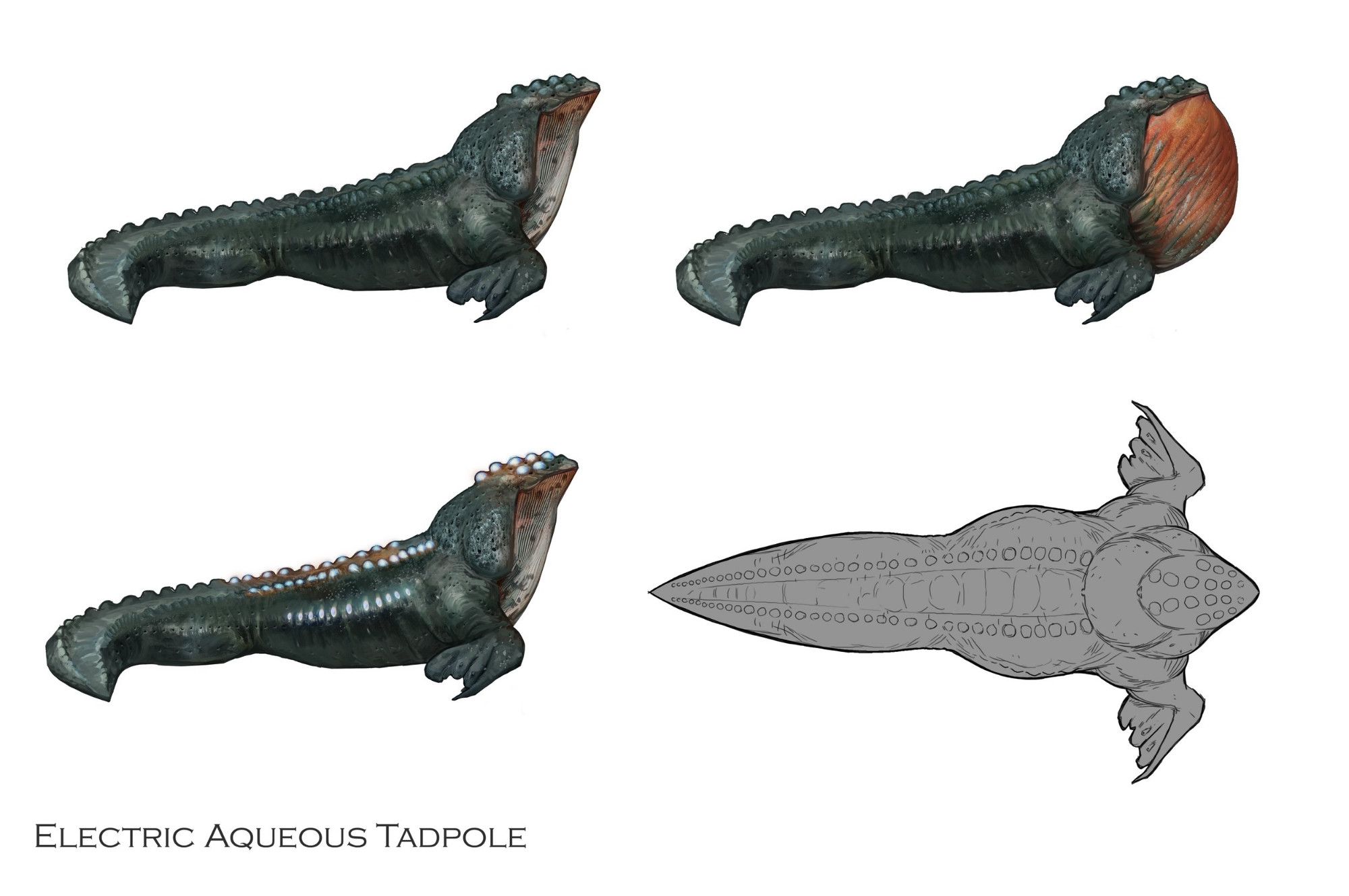 Concept art illustrating the tadpole creature from dragon age the veilguard

Art by Nick Thornborrow