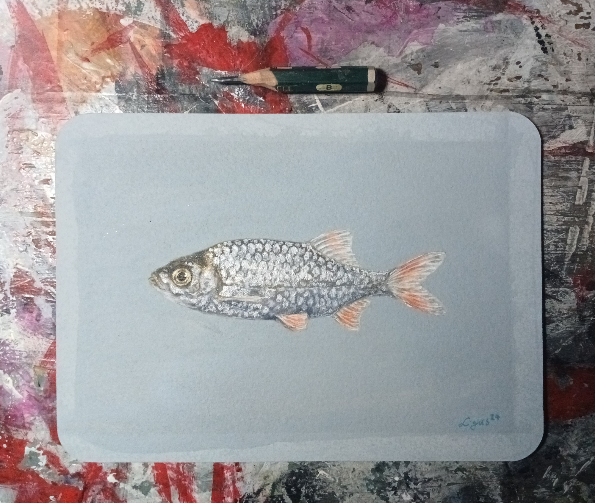 foto of a watercolour/acryl/gouache side view of a rudd