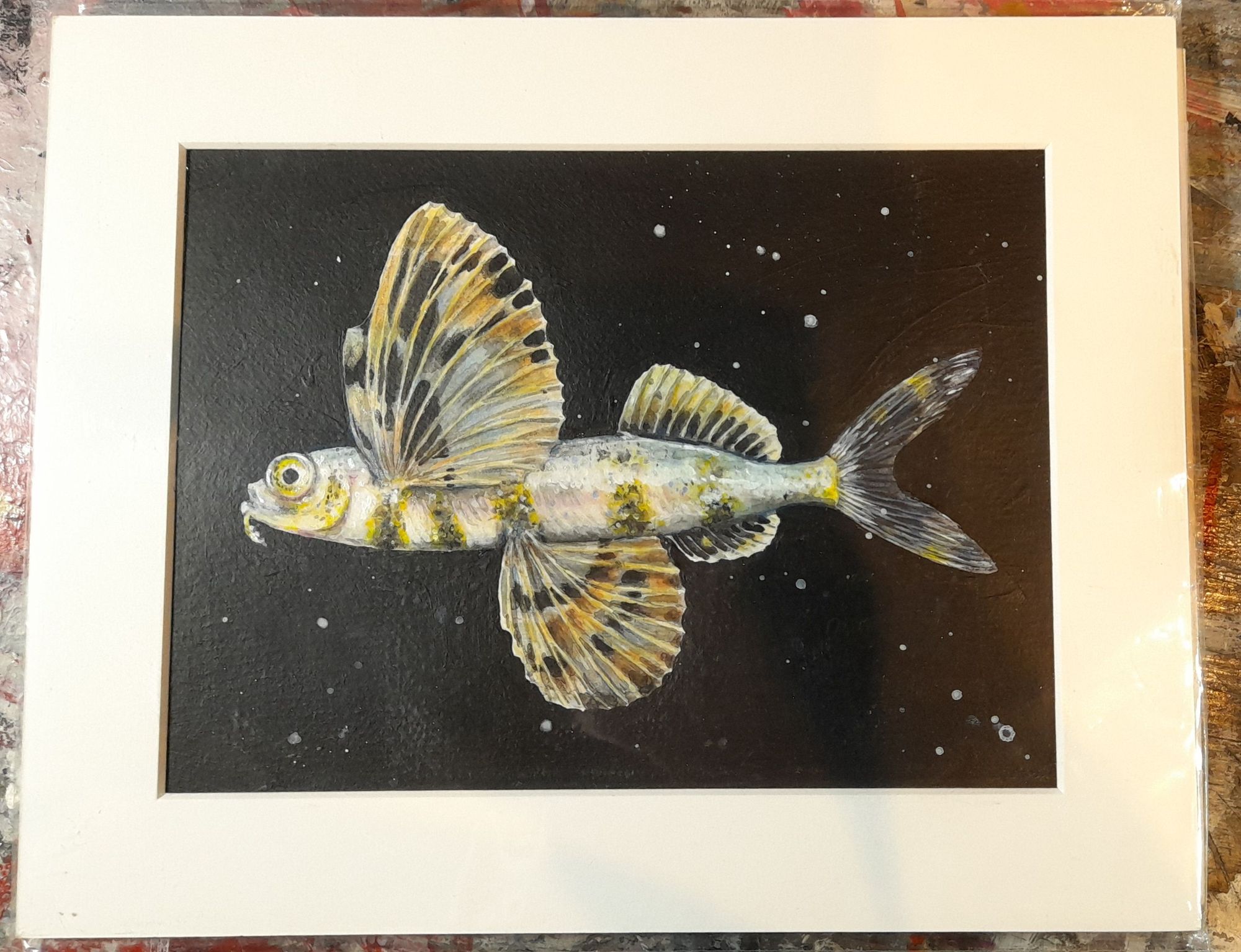 juvinile flying fish - wathercolour and acrylics