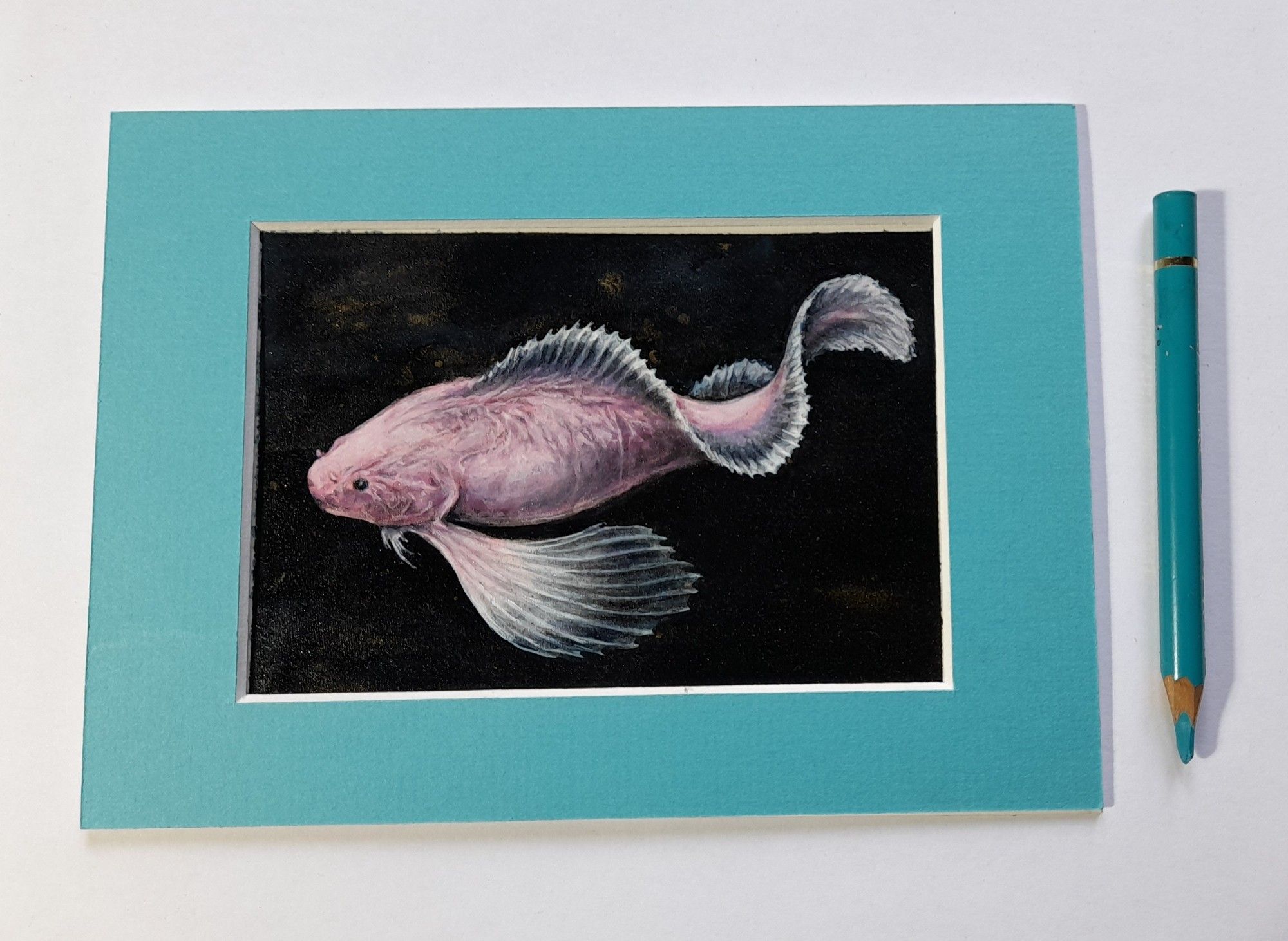 snailfish painting with passepartou- watercolour, varnished