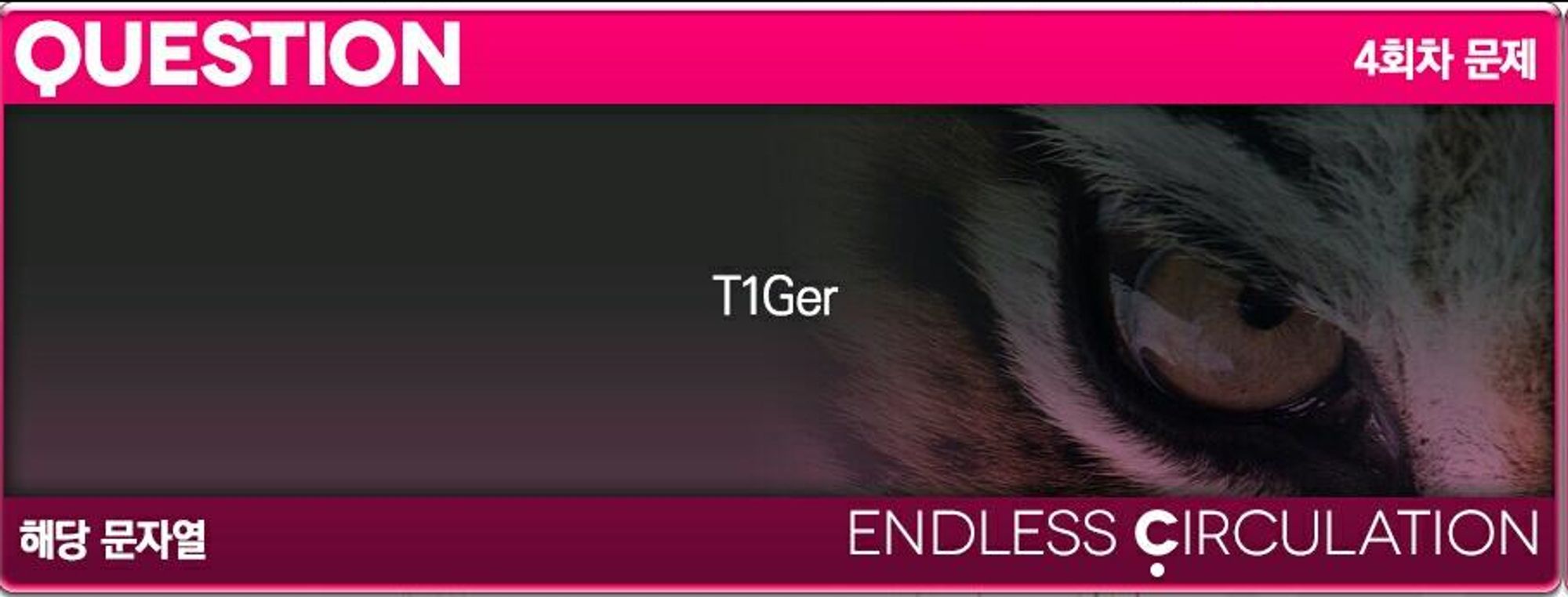 The fourth question of EZ2AC ENDLESS CIRCULATION's unlock system. It reads 'T1Ger', with a close-up image of a tiger placed underneath the text.