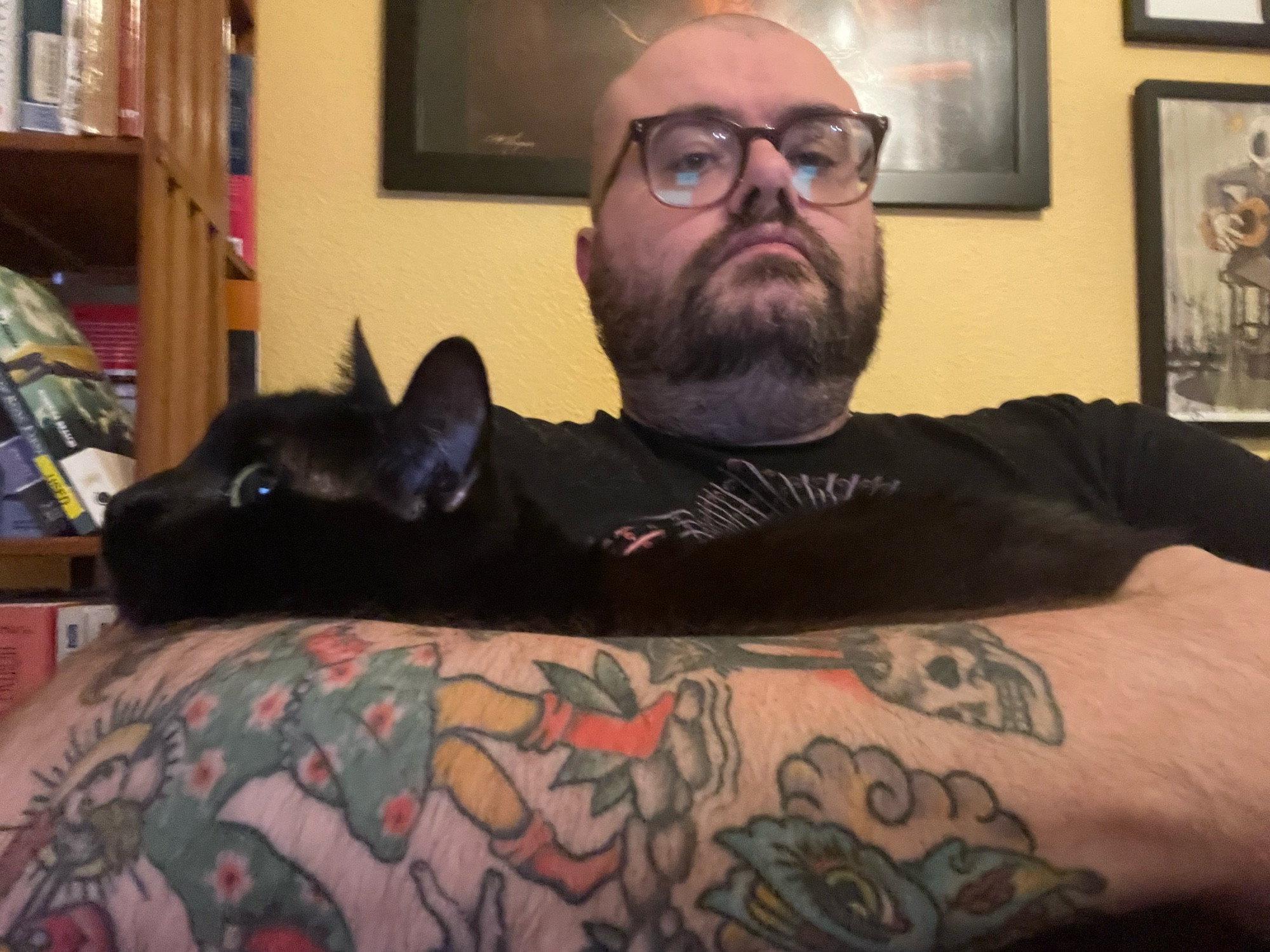 Standard Issue White Guy (me), bald, glasses, beard, tattoos, holds a very needy standard issue black cat, who forced her way into his arms while he was writing, and is laying her head contentedly in the nook of his elbow, right above a tattoo of The Fool (tarot)